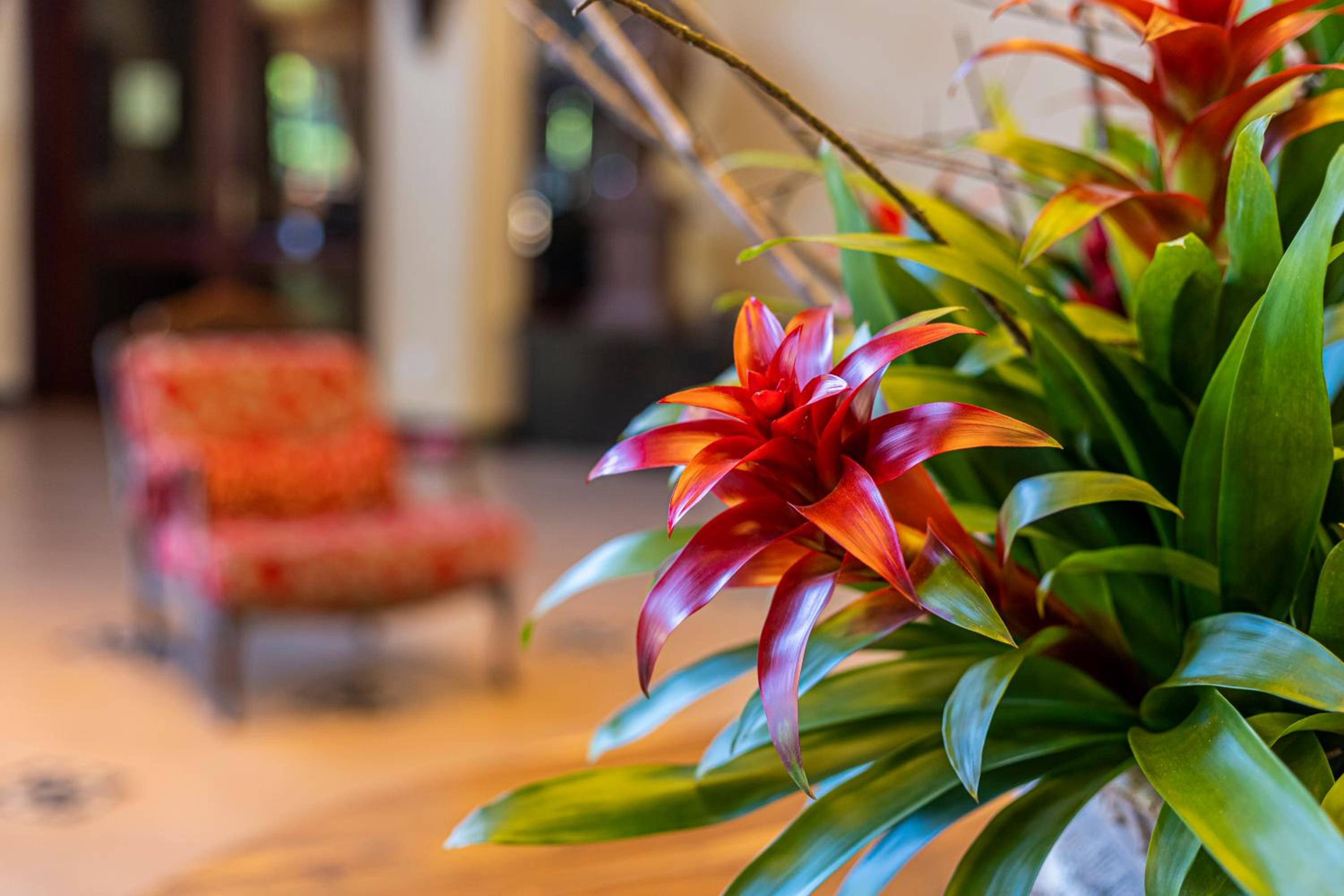 Villa di Mantova Resort Hotel