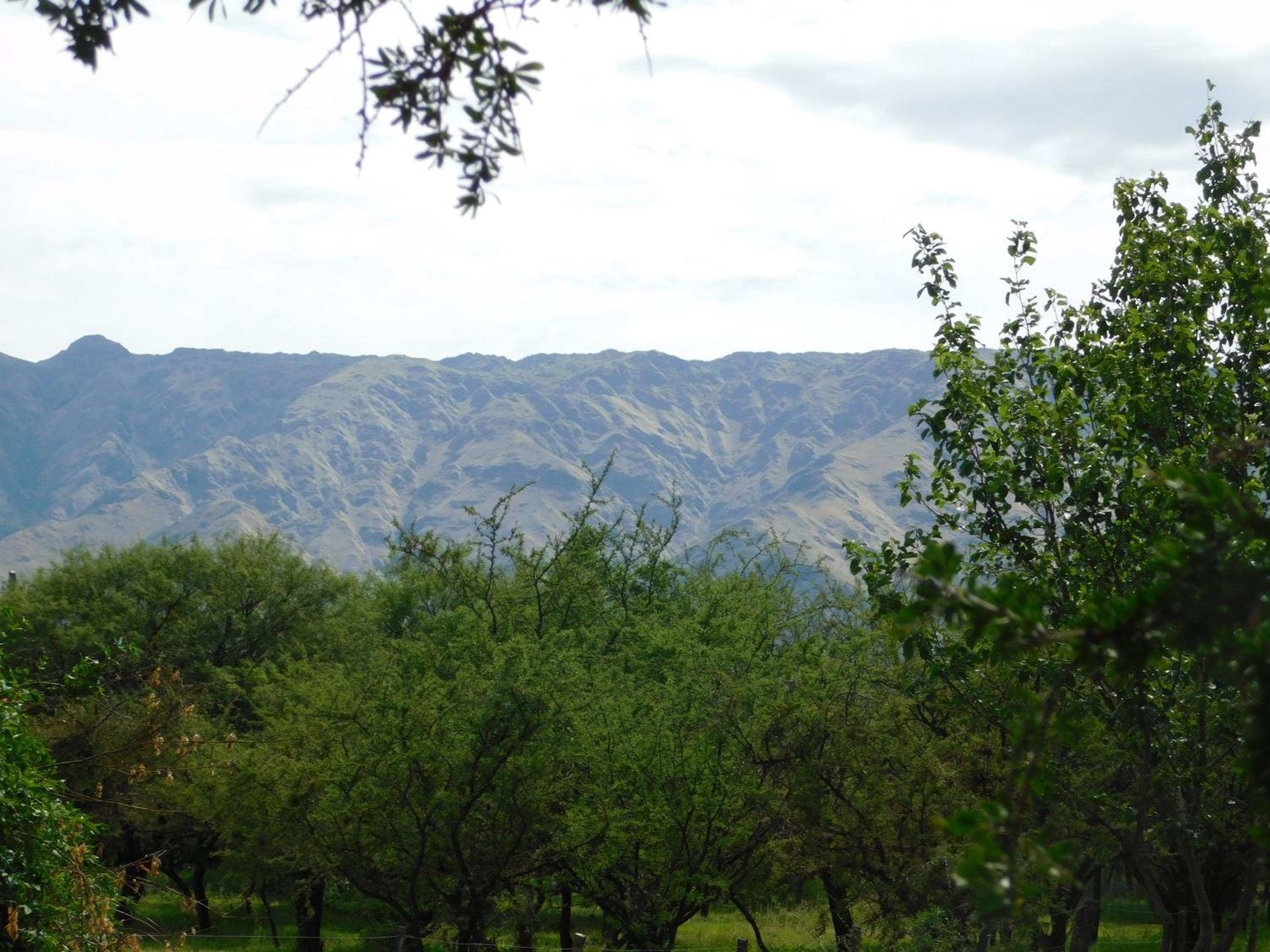 El Rincón de Alejo