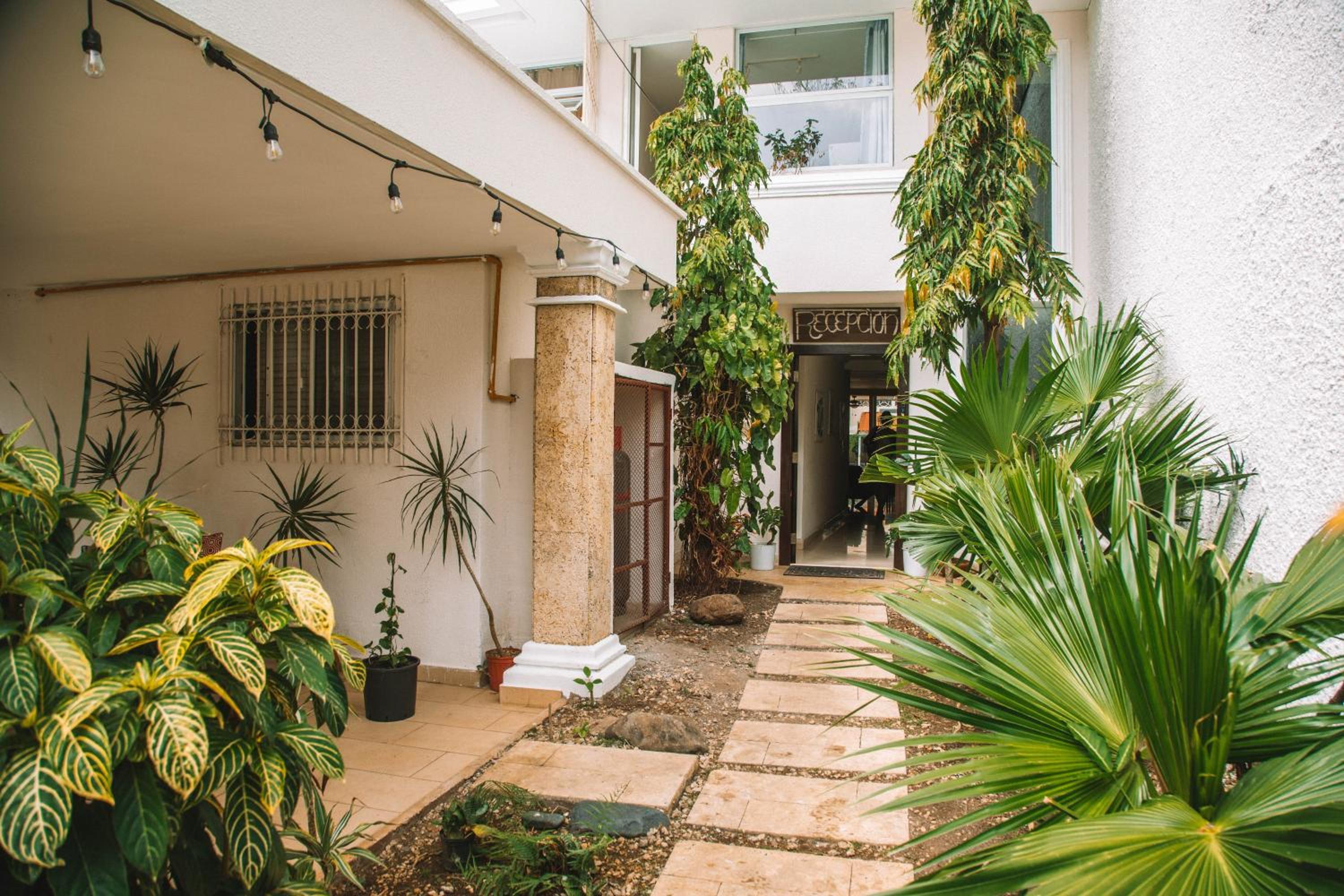 Bodhi Panama City