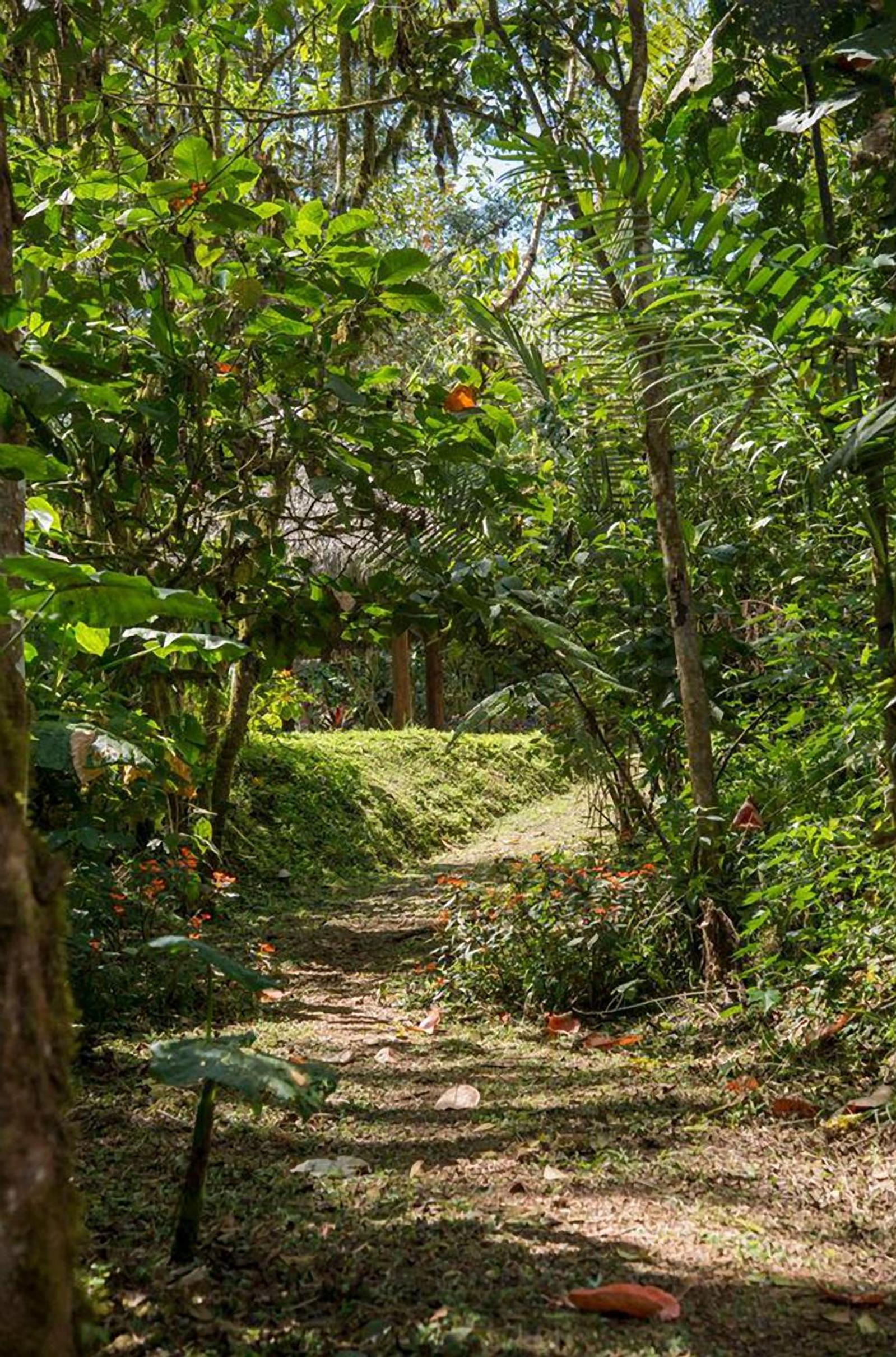 Sachatamia Lodge