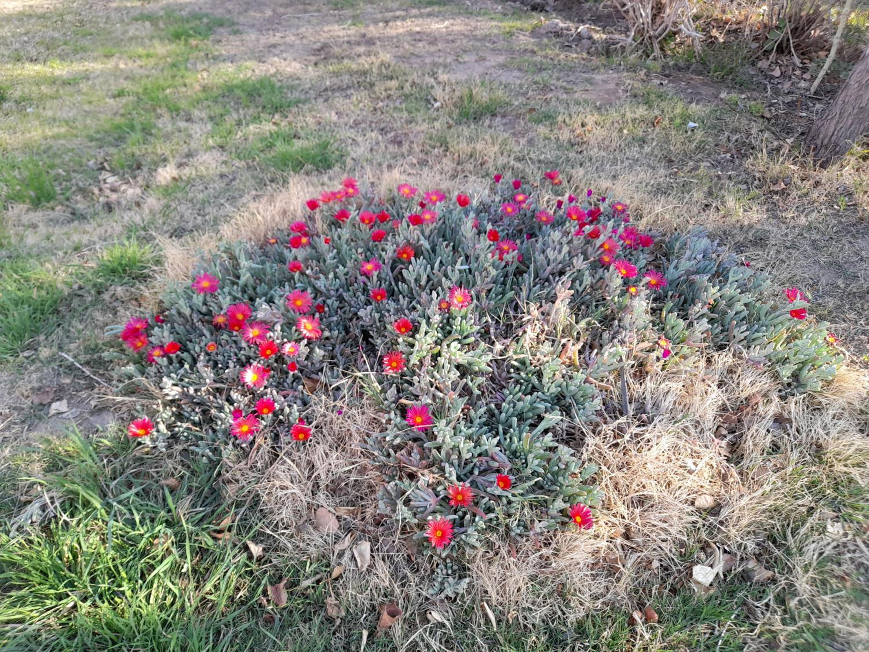 Entre viñas, sol y montañas