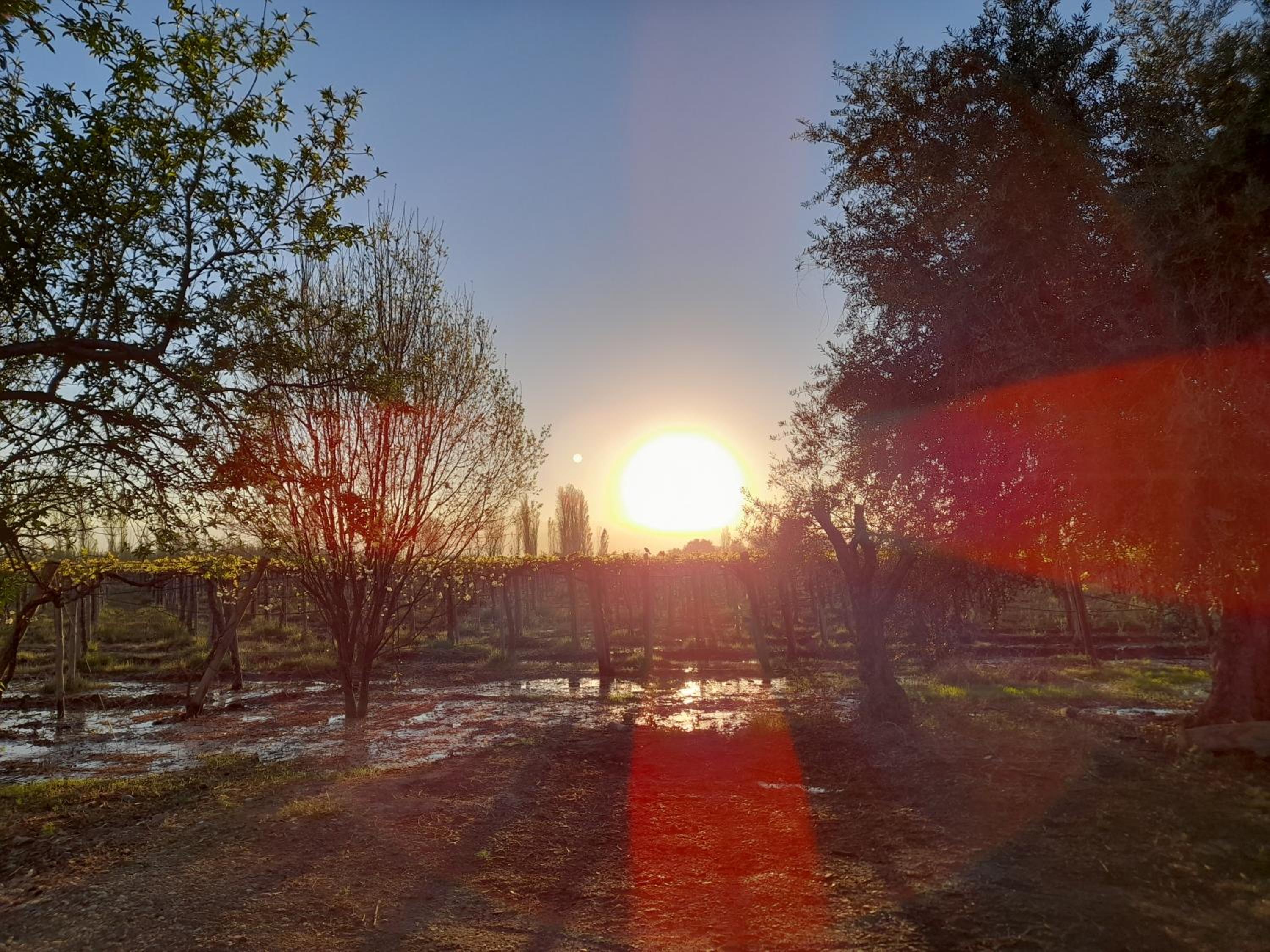 Entre viñas, sol y montañas