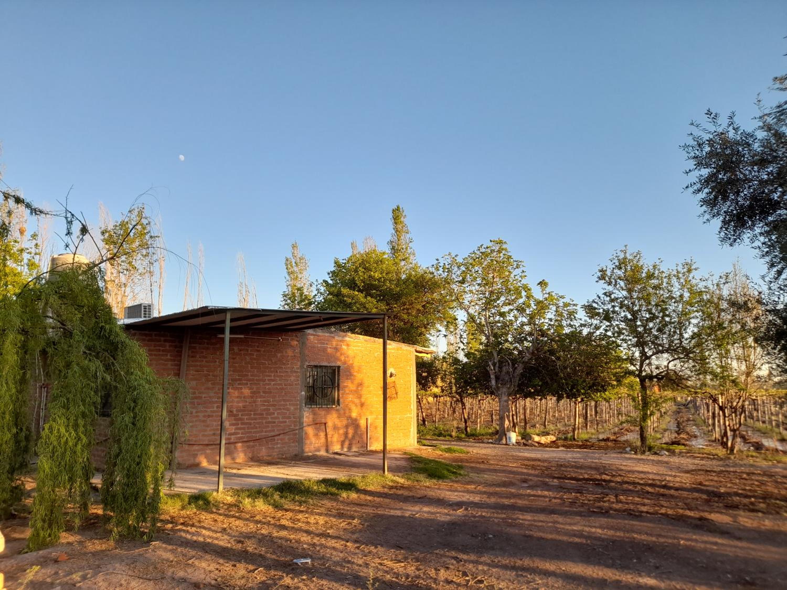 Entre viñas, sol y montañas