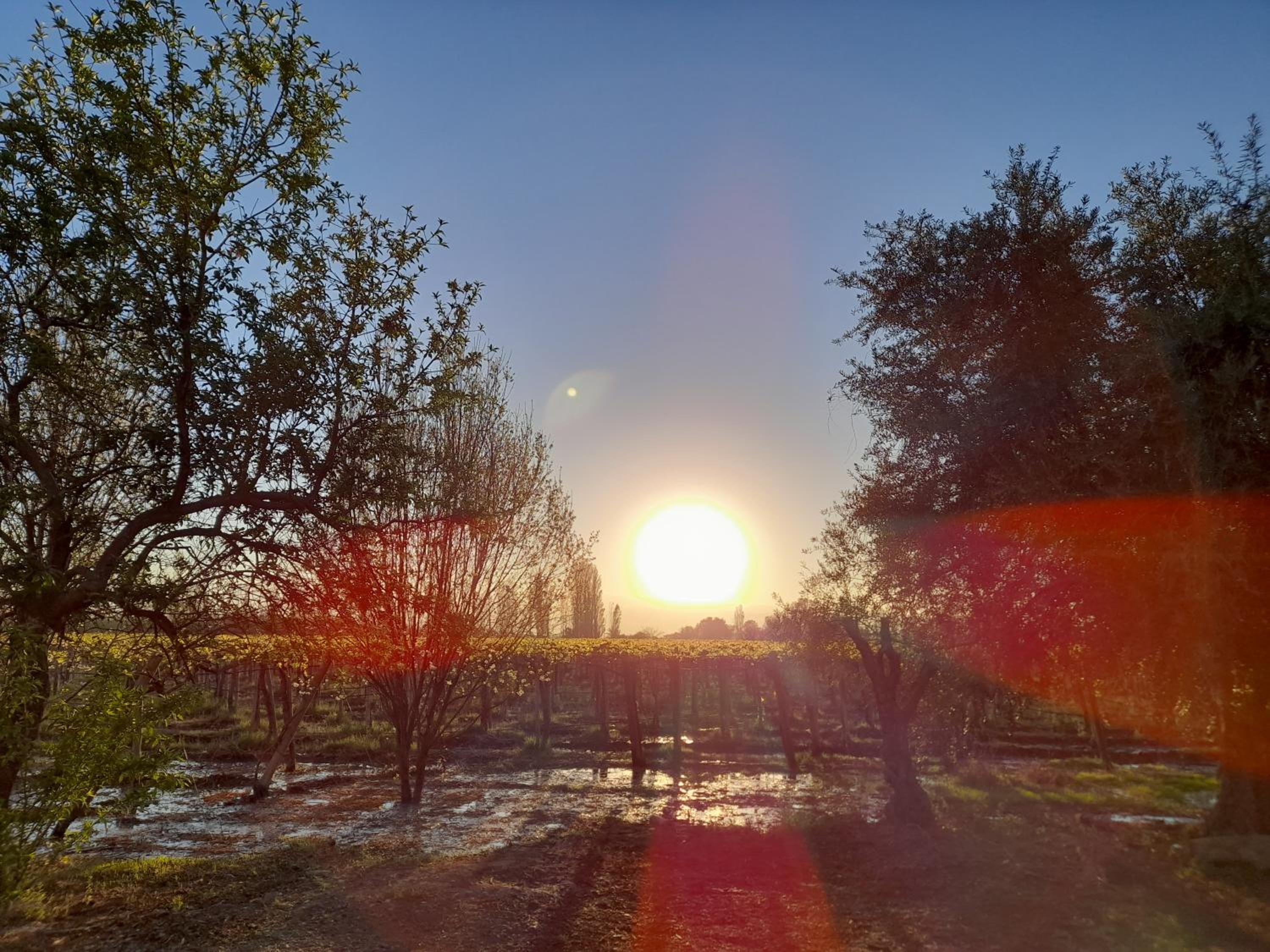 Entre viñas, sol y montañas