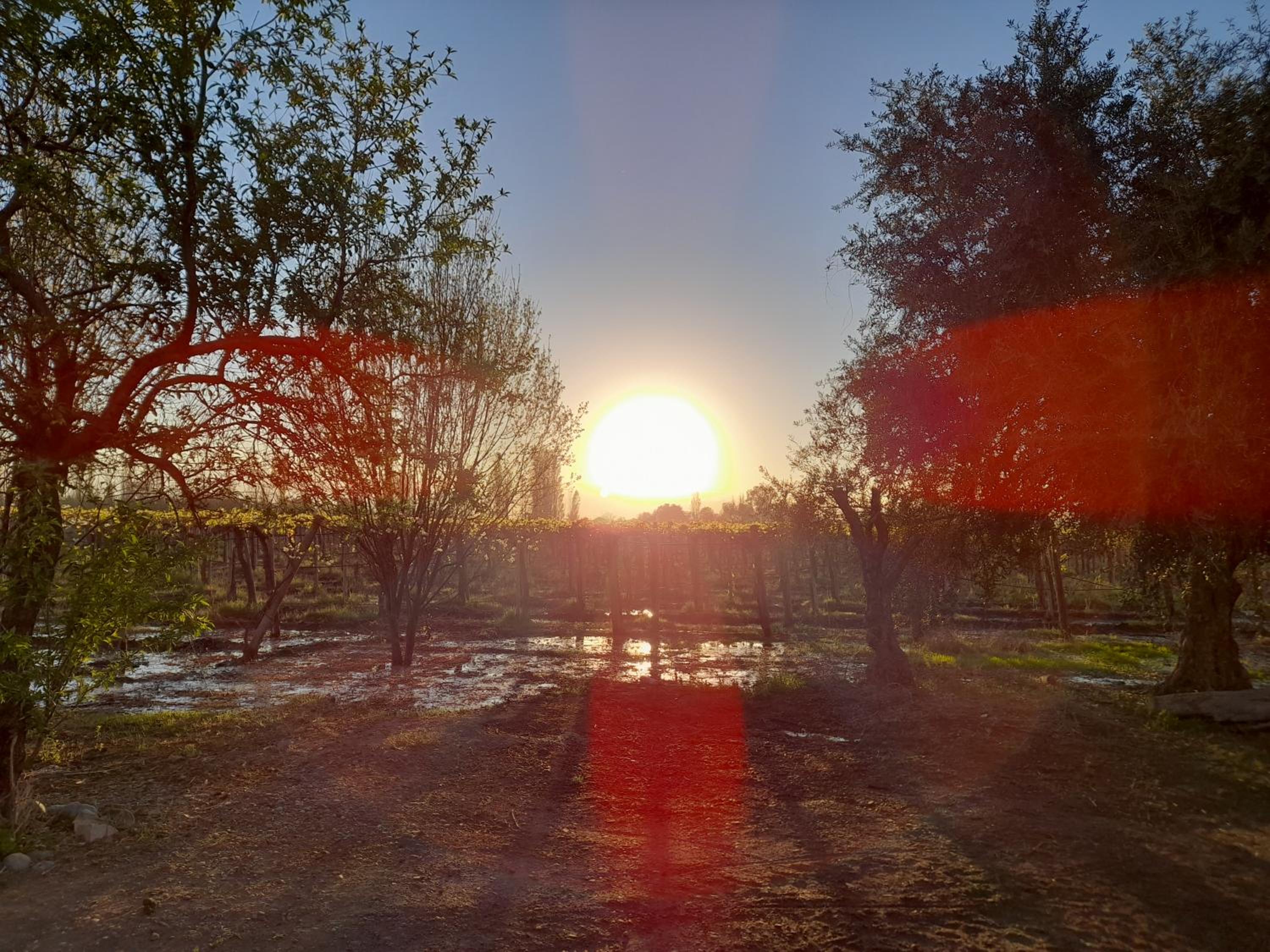 Entre viñas, sol y montañas