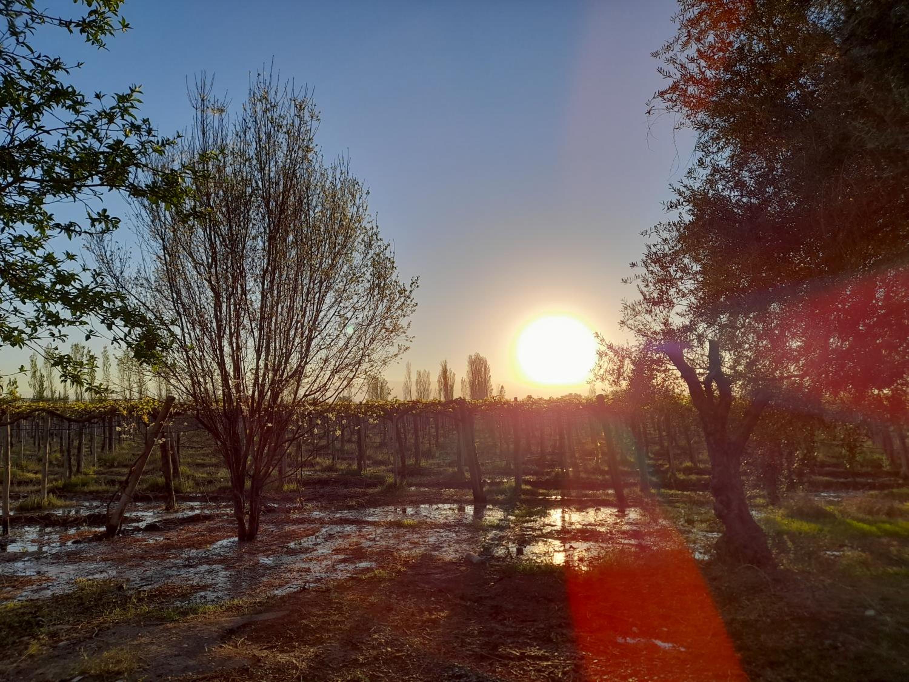 Entre viñas, sol y montañas
