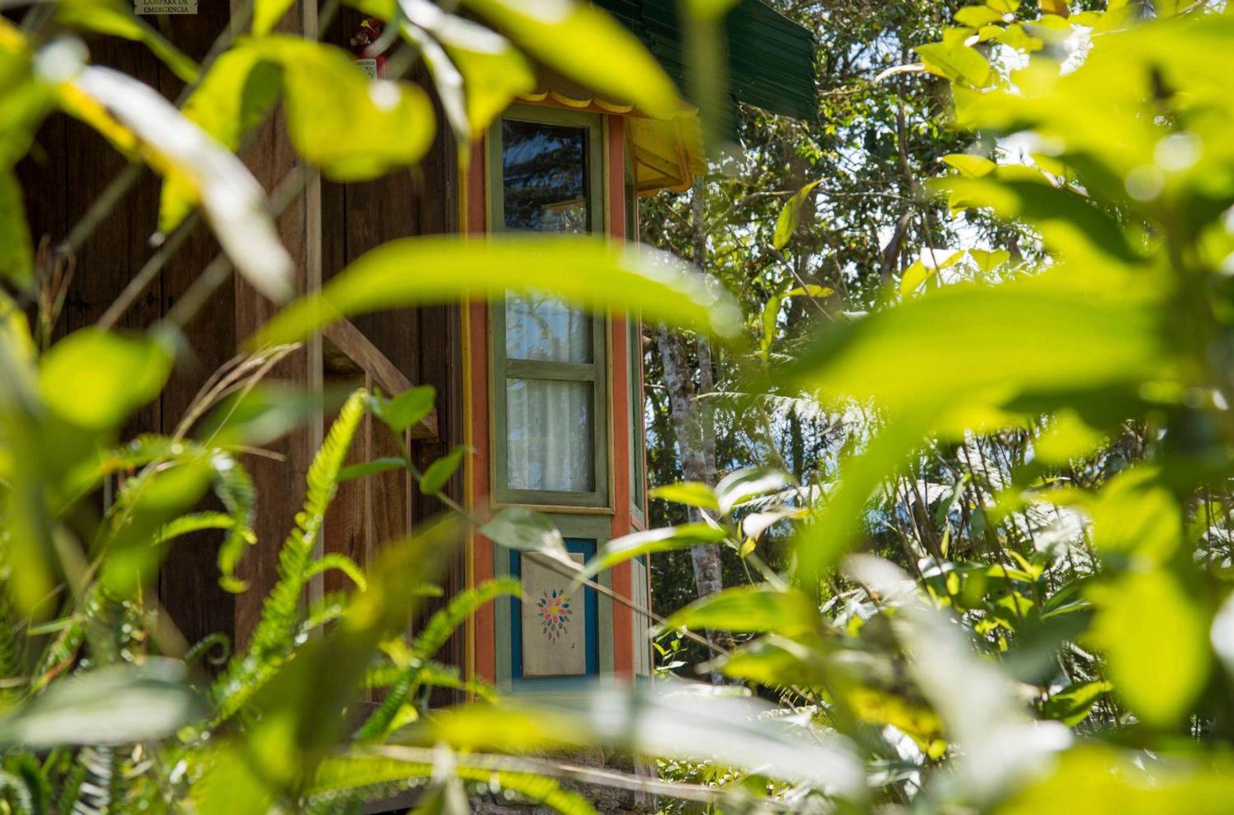 Sachatamia Lodge
