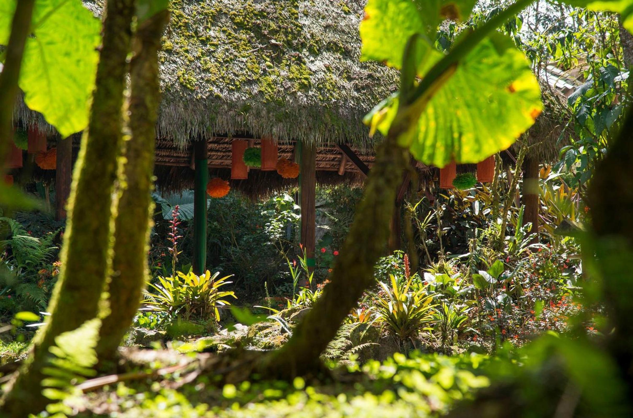 Sachatamia Lodge