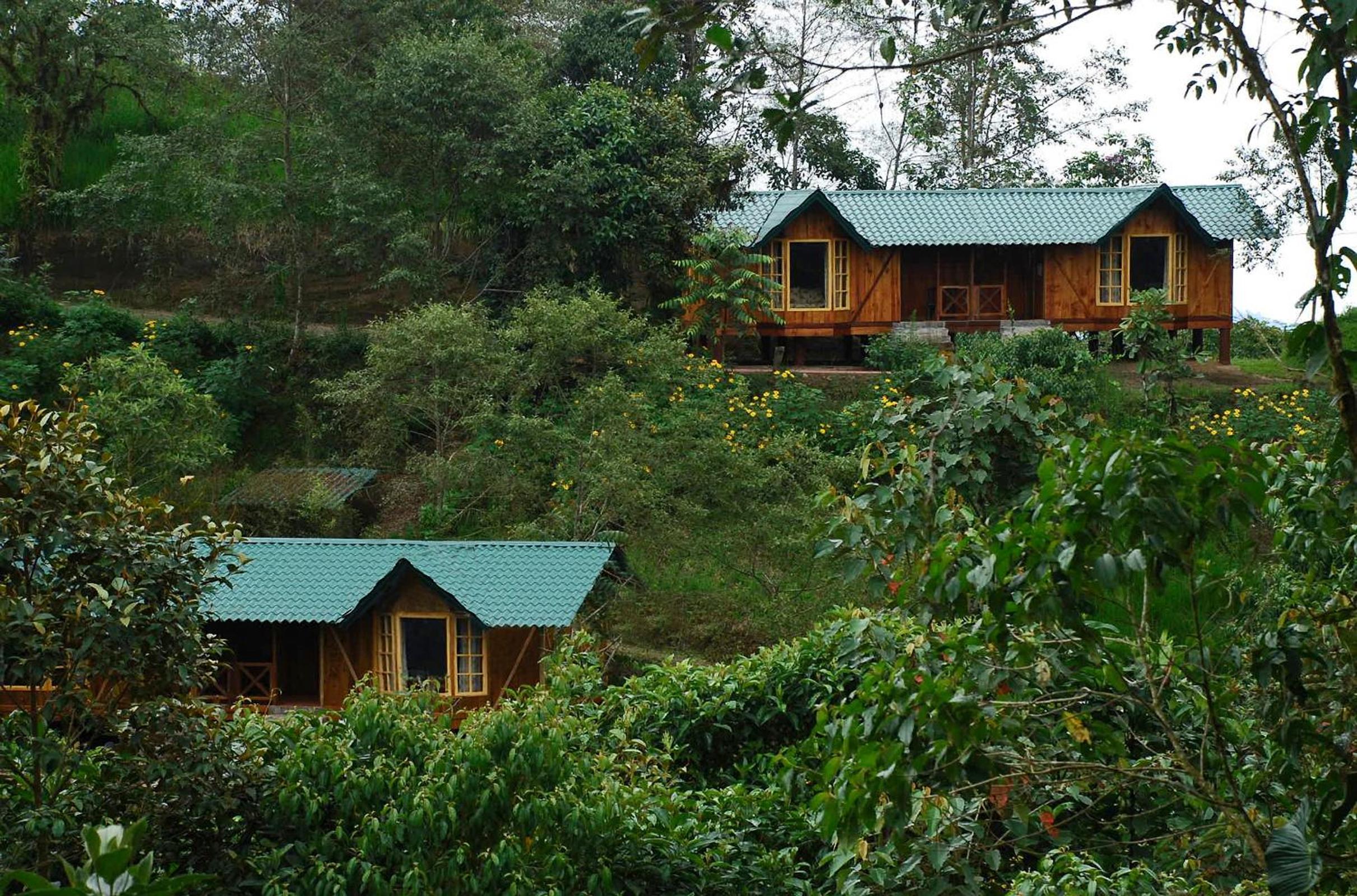 Sachatamia Lodge