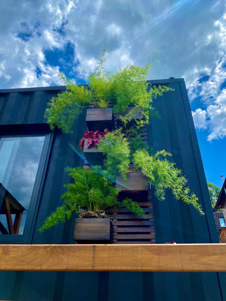 Tinyhouse da Floresta view 3