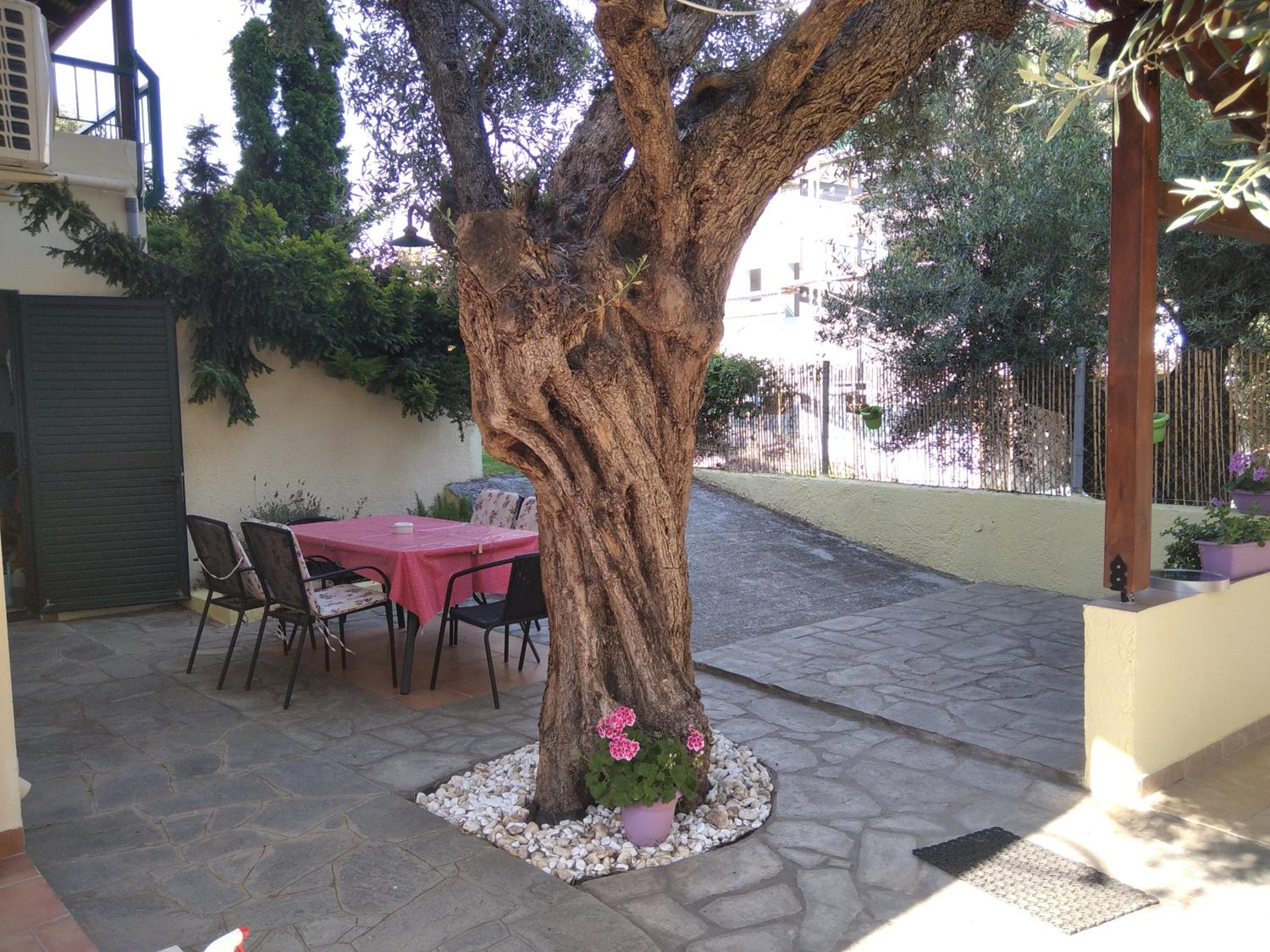 Apostolos view 5