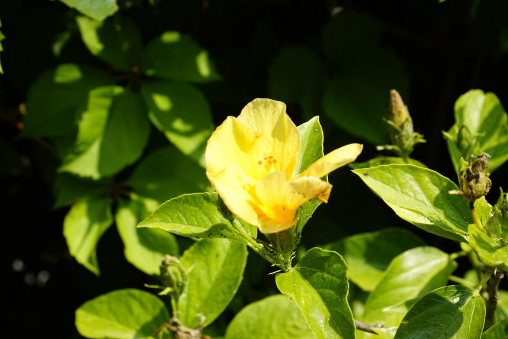 Photo 30