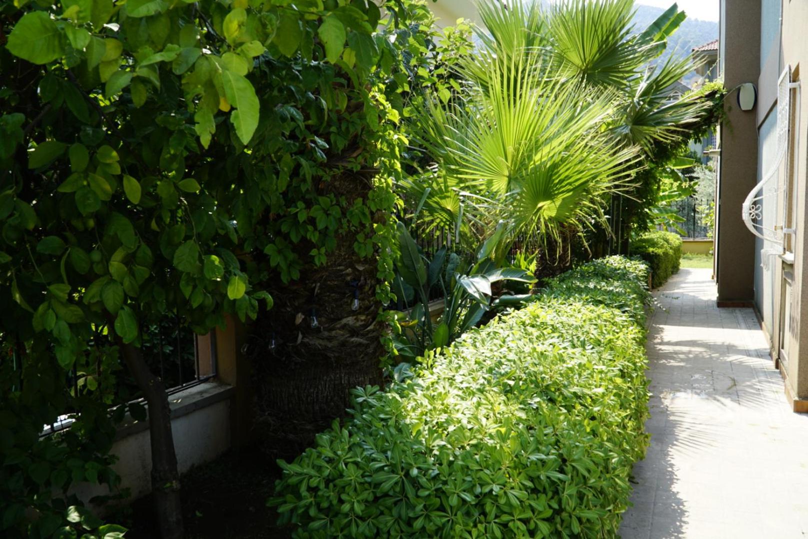 Photo 19