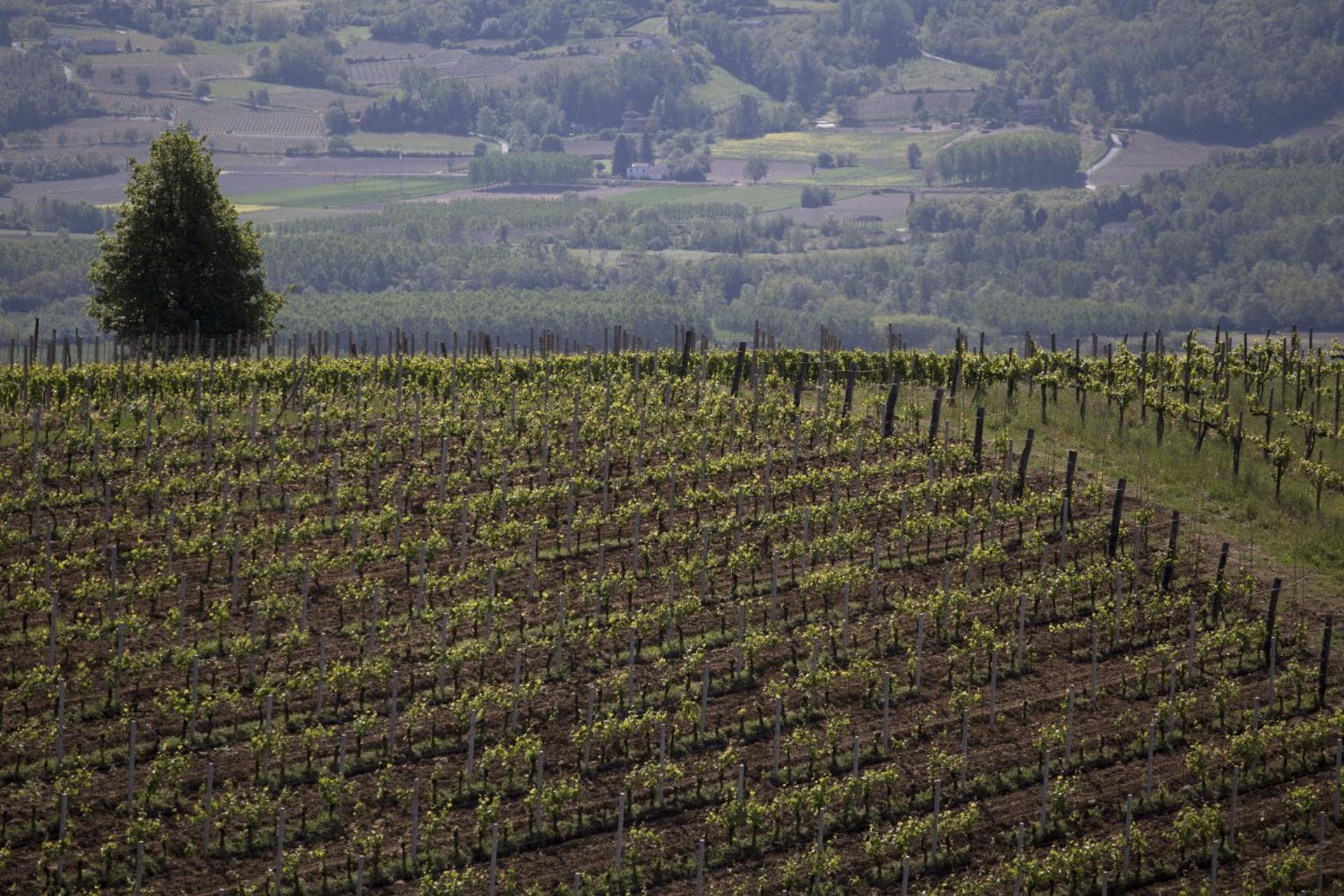 Cascina Marcantonio