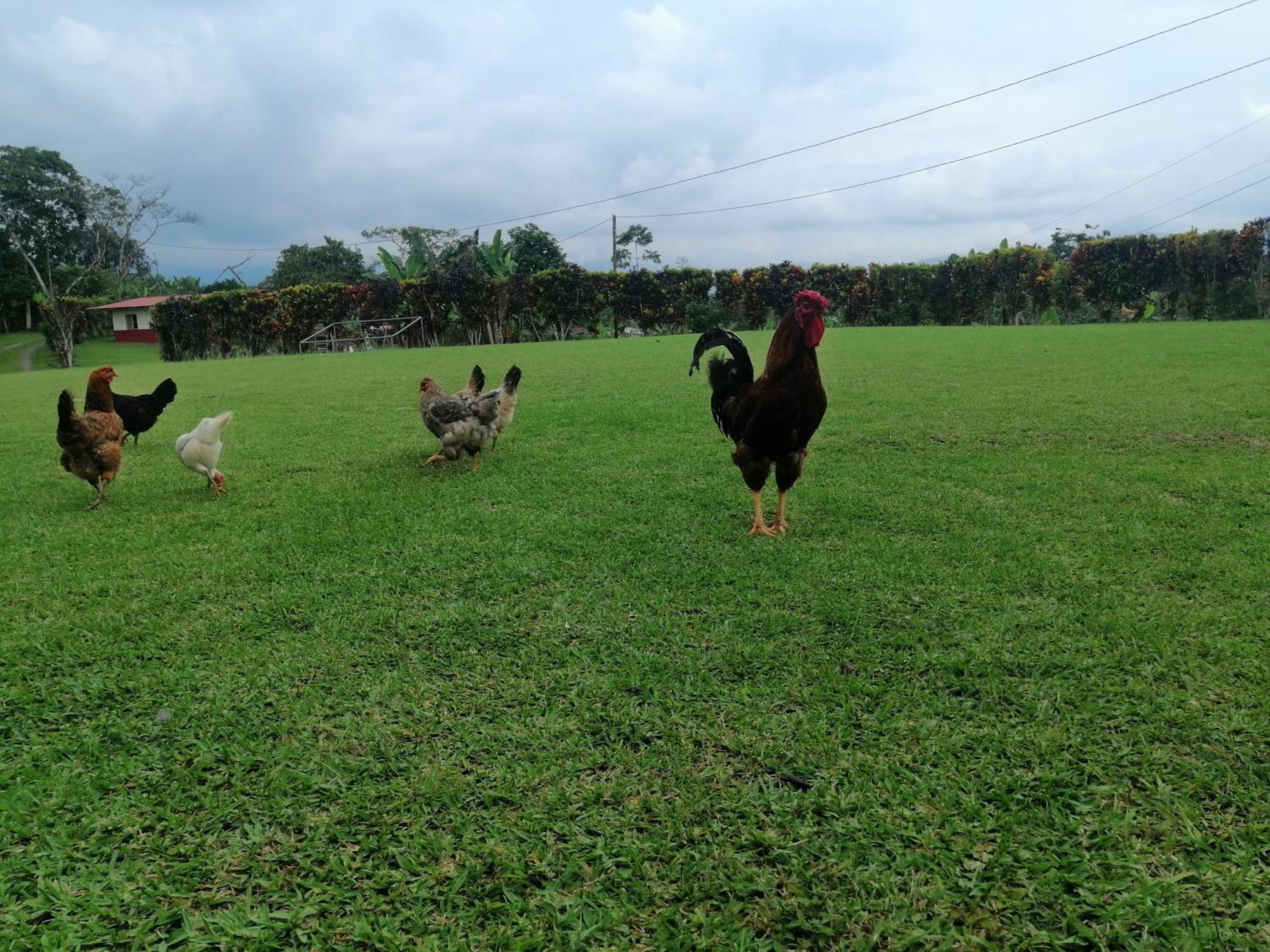 Finca San Mateo