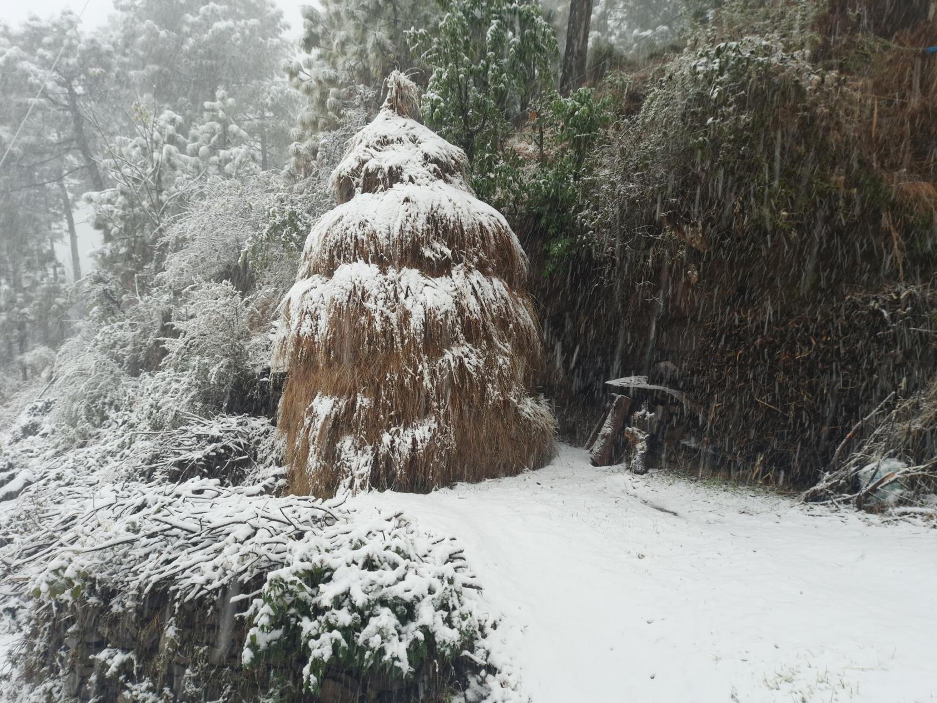 Aagaman Woods Homestay view 5