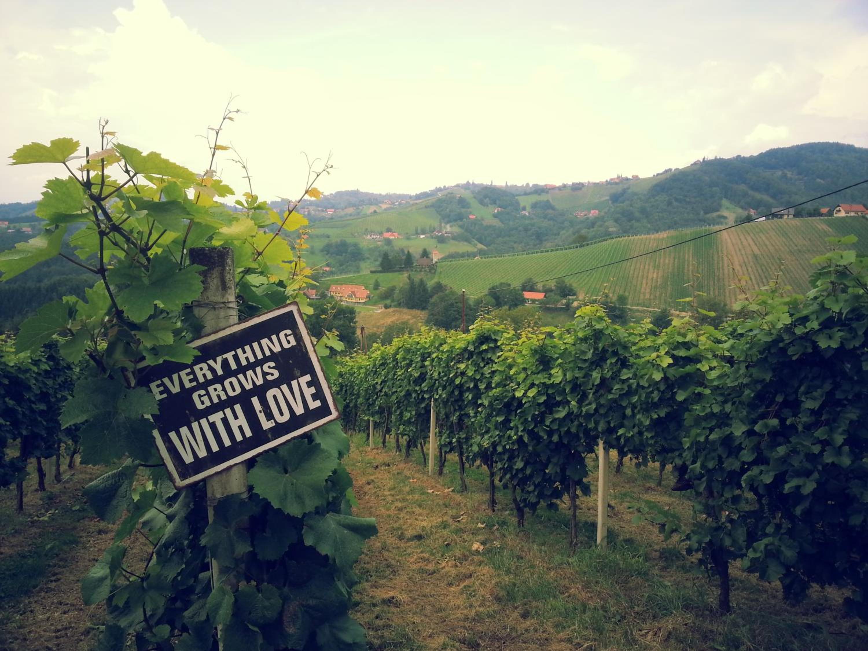 Weingut Reiterer