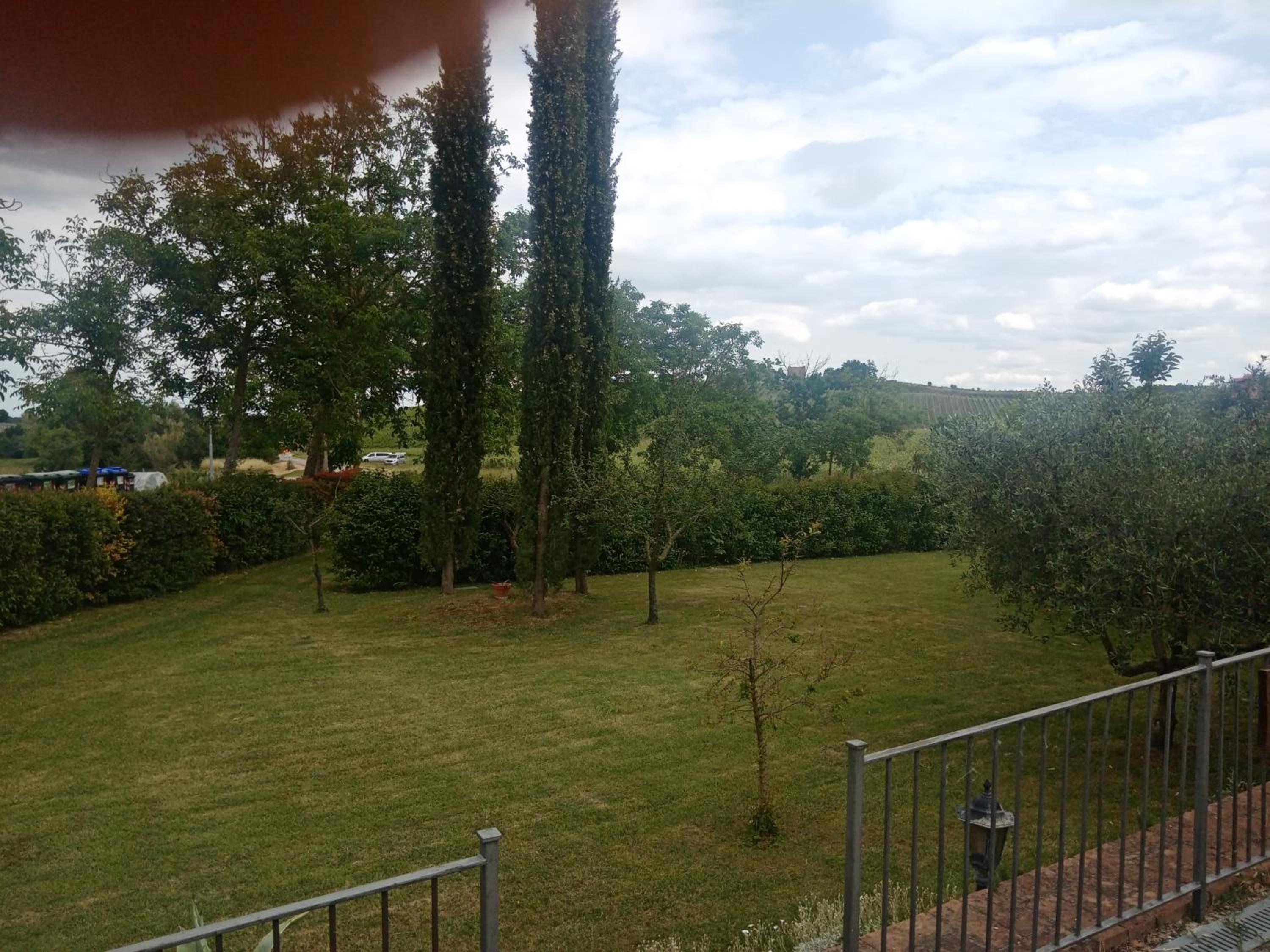 Photo 33