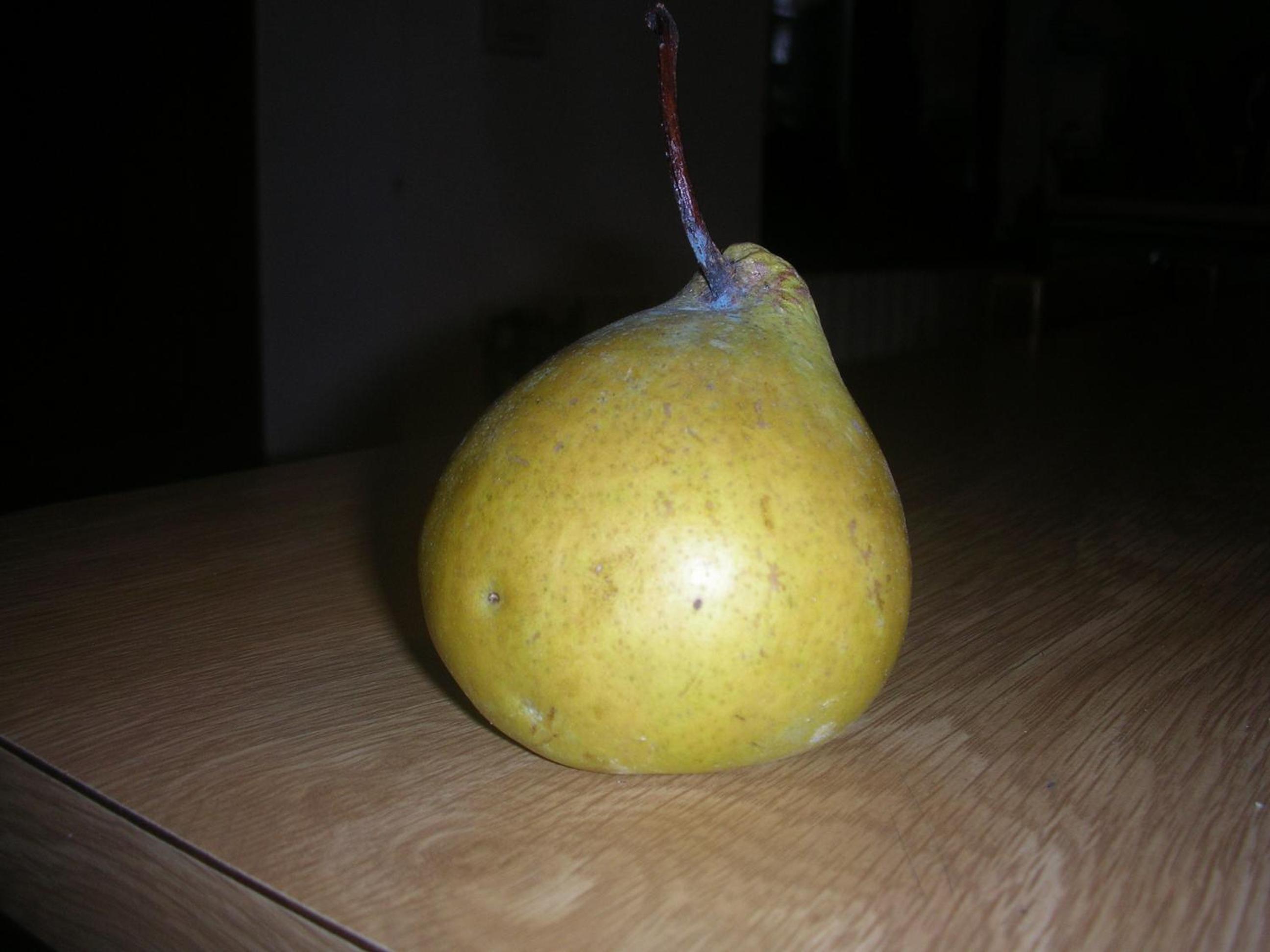 Photo 36