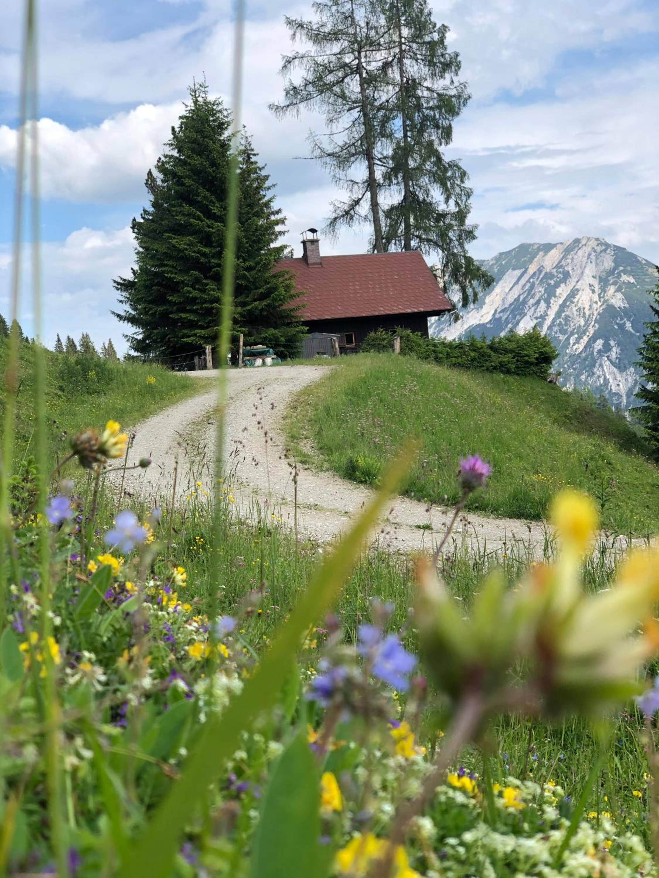 Jagdhütte Gammeringalm