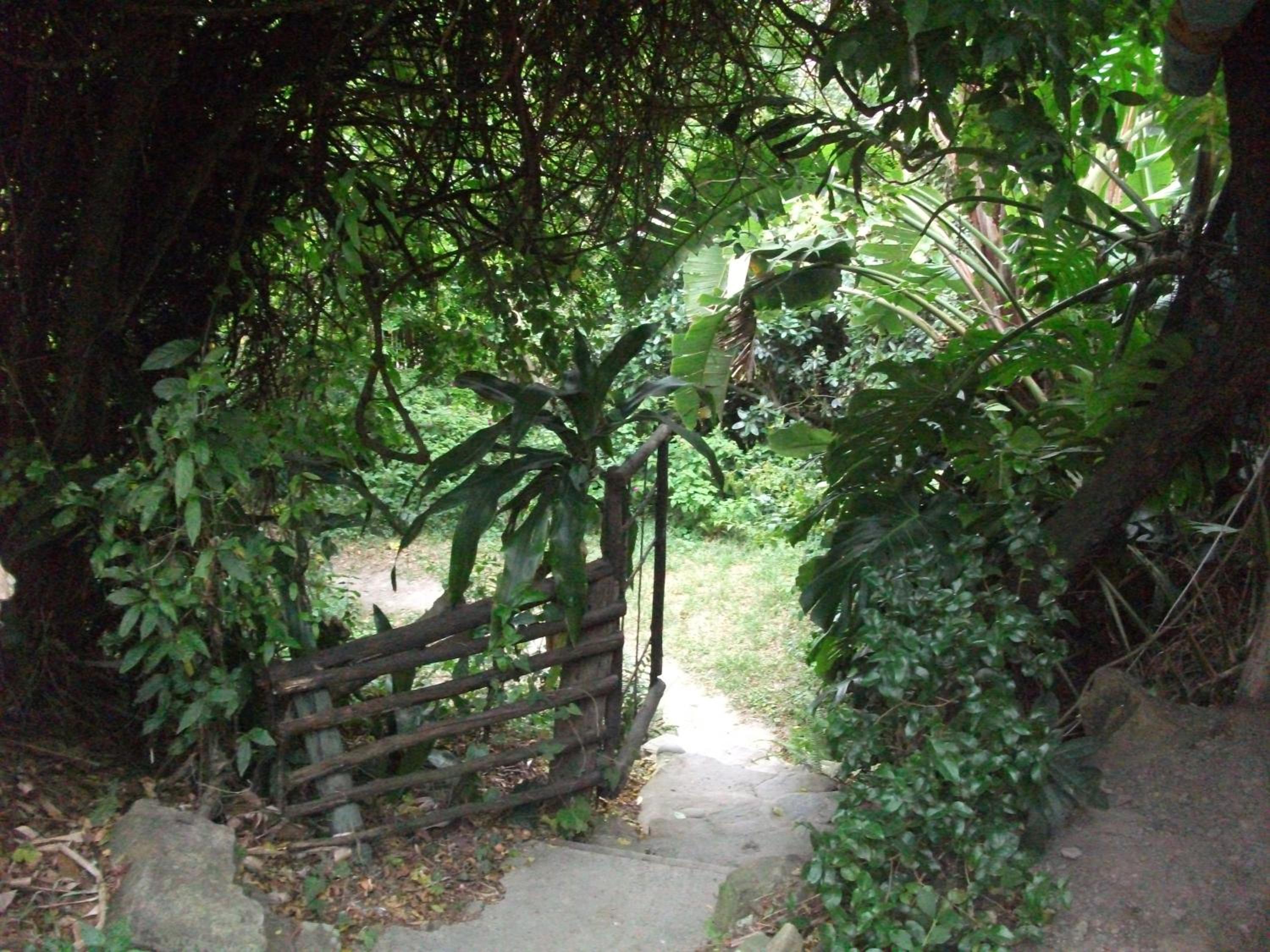 Photo 37