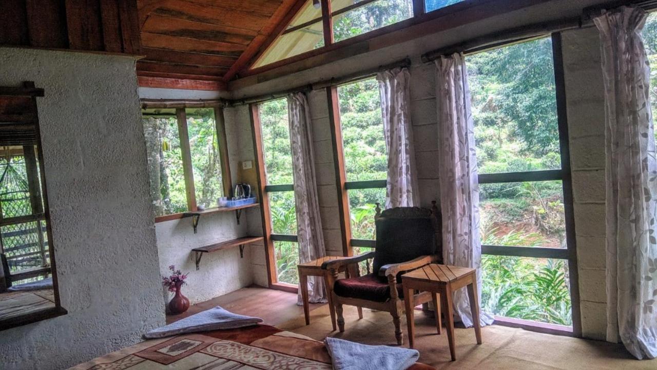 Jungle Tree House Munnar