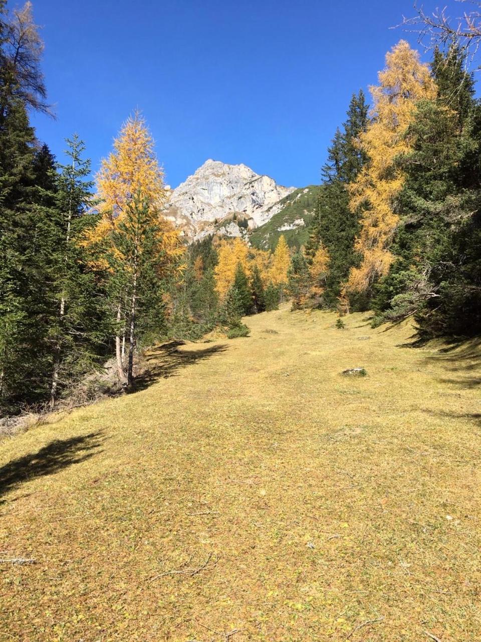Photo 45
