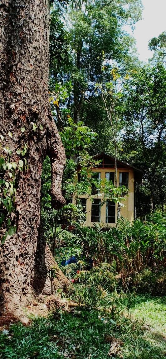 Jungle Tree House Munnar