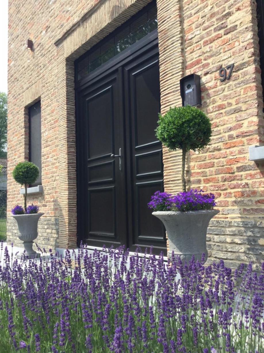 De Grote Vliet
