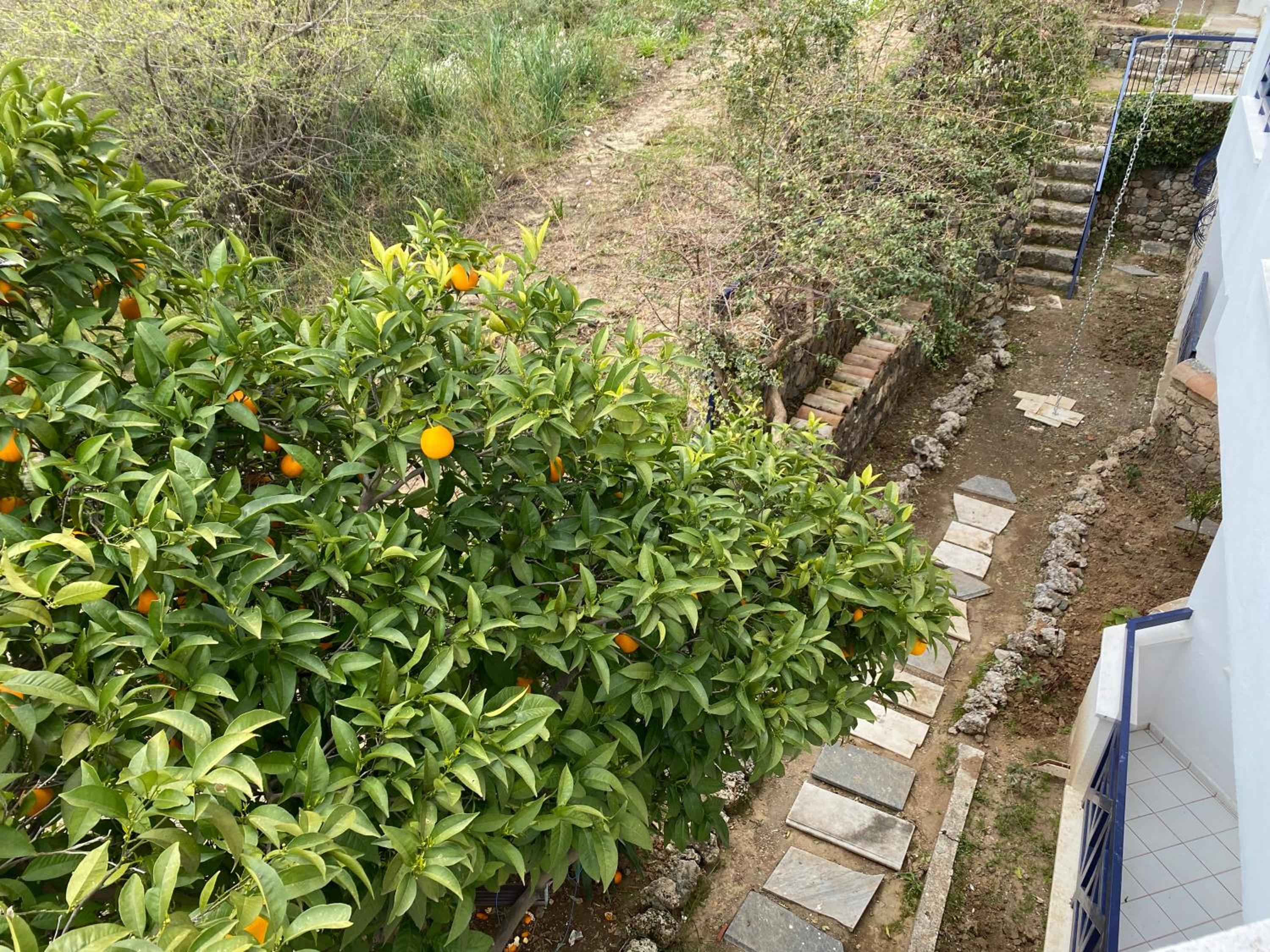 NATURELLA APART HOTEL - Image 213