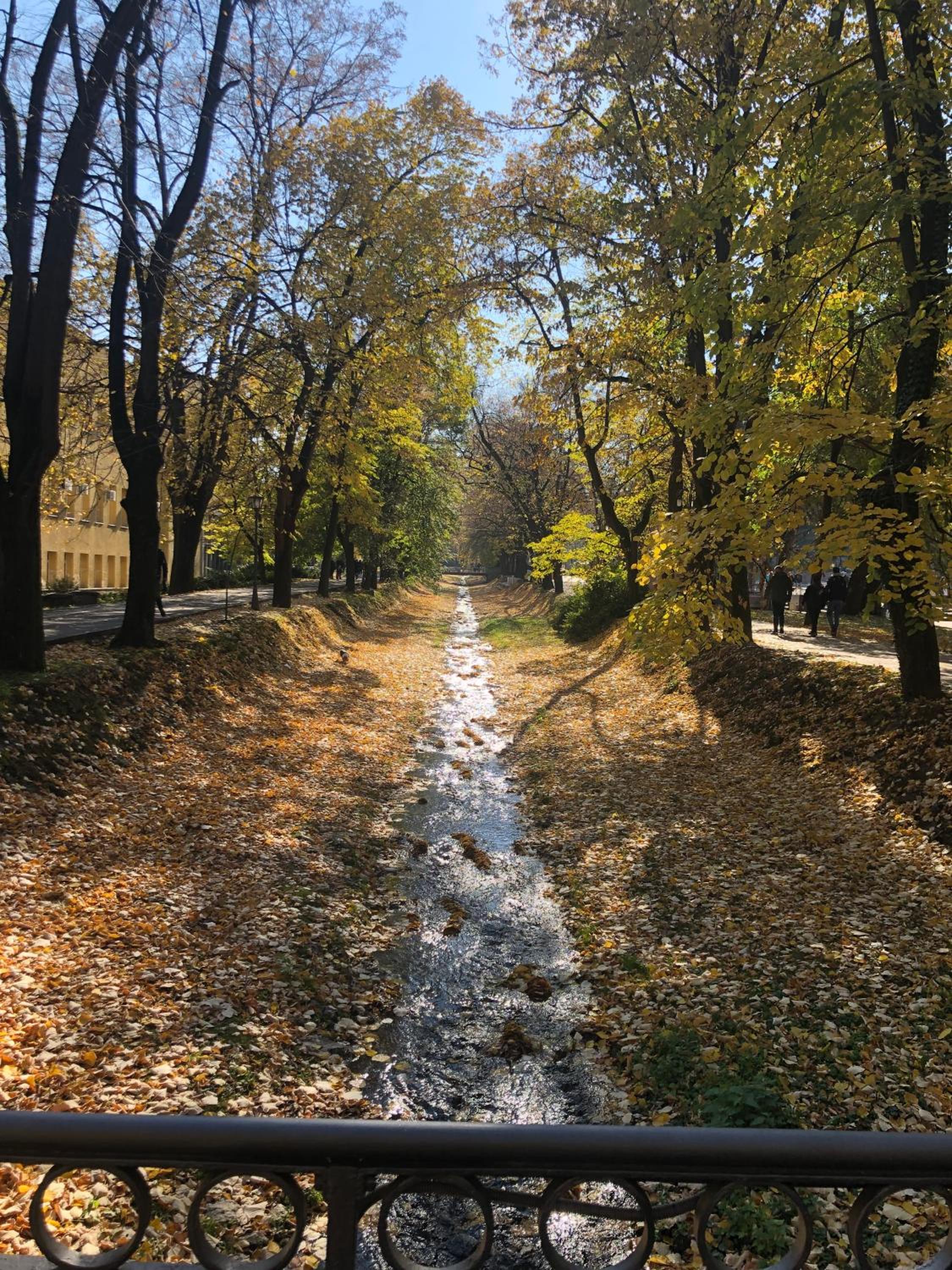 Photo 27