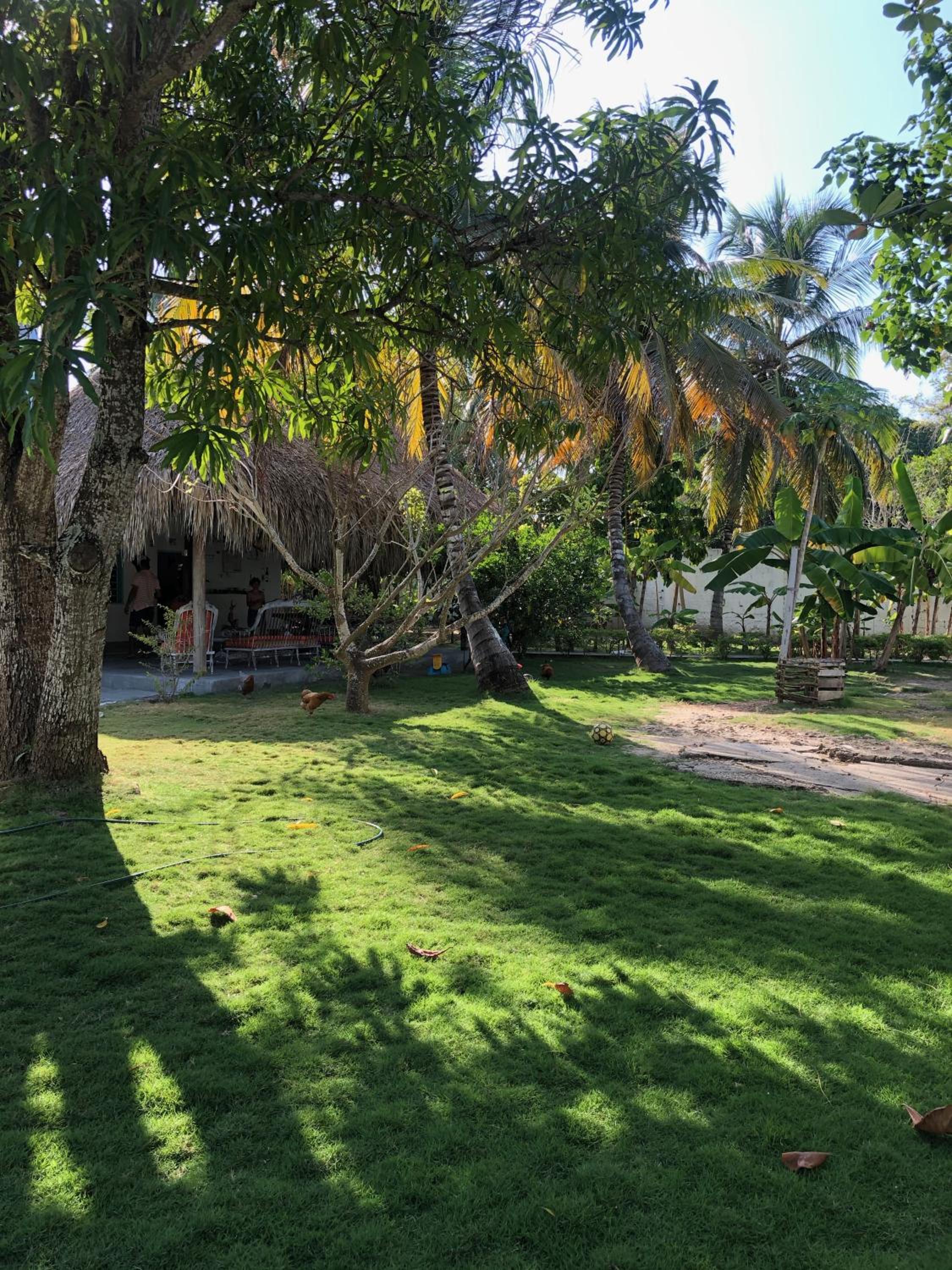 Costa de Vikingos