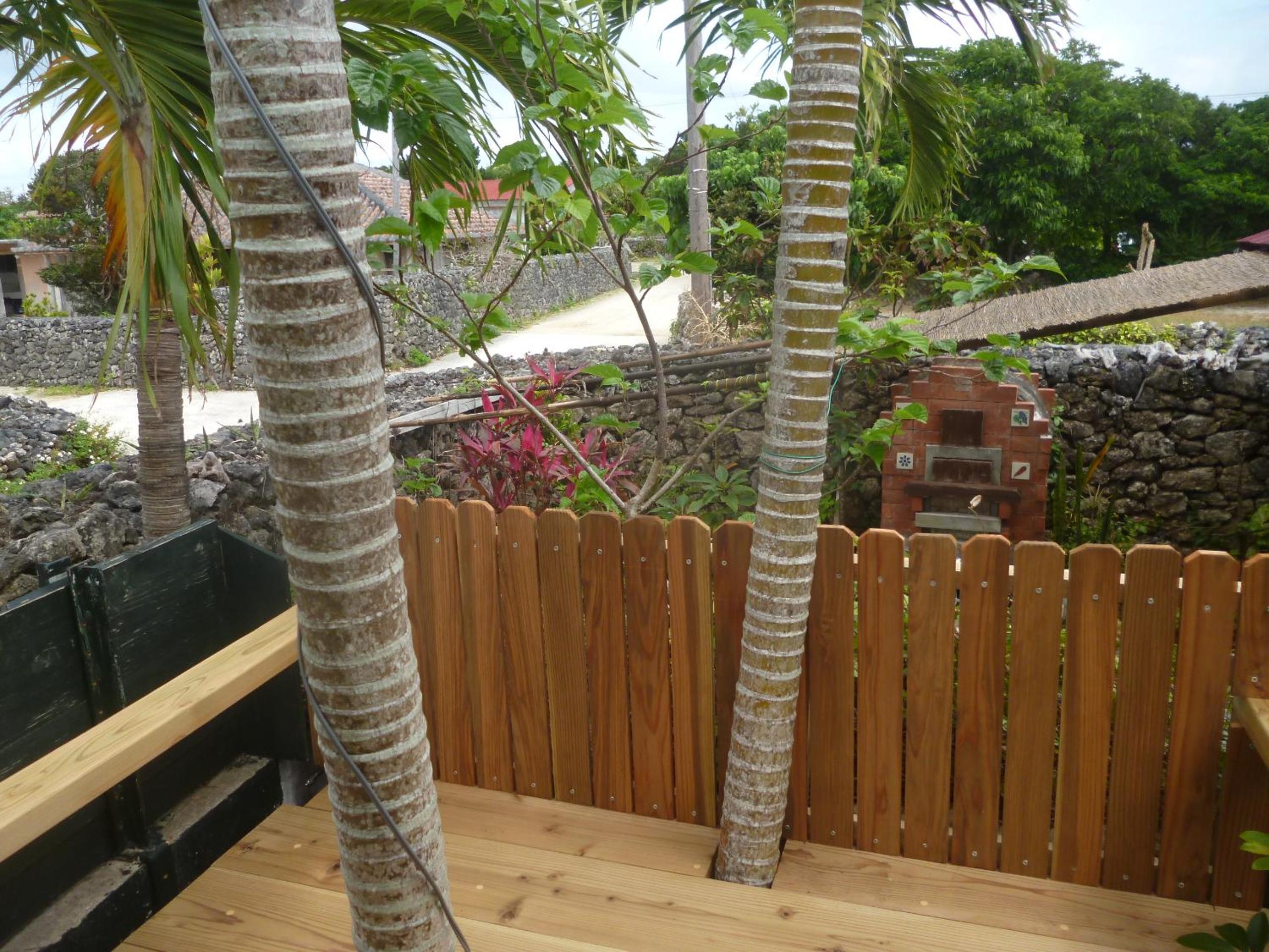 Photo 19