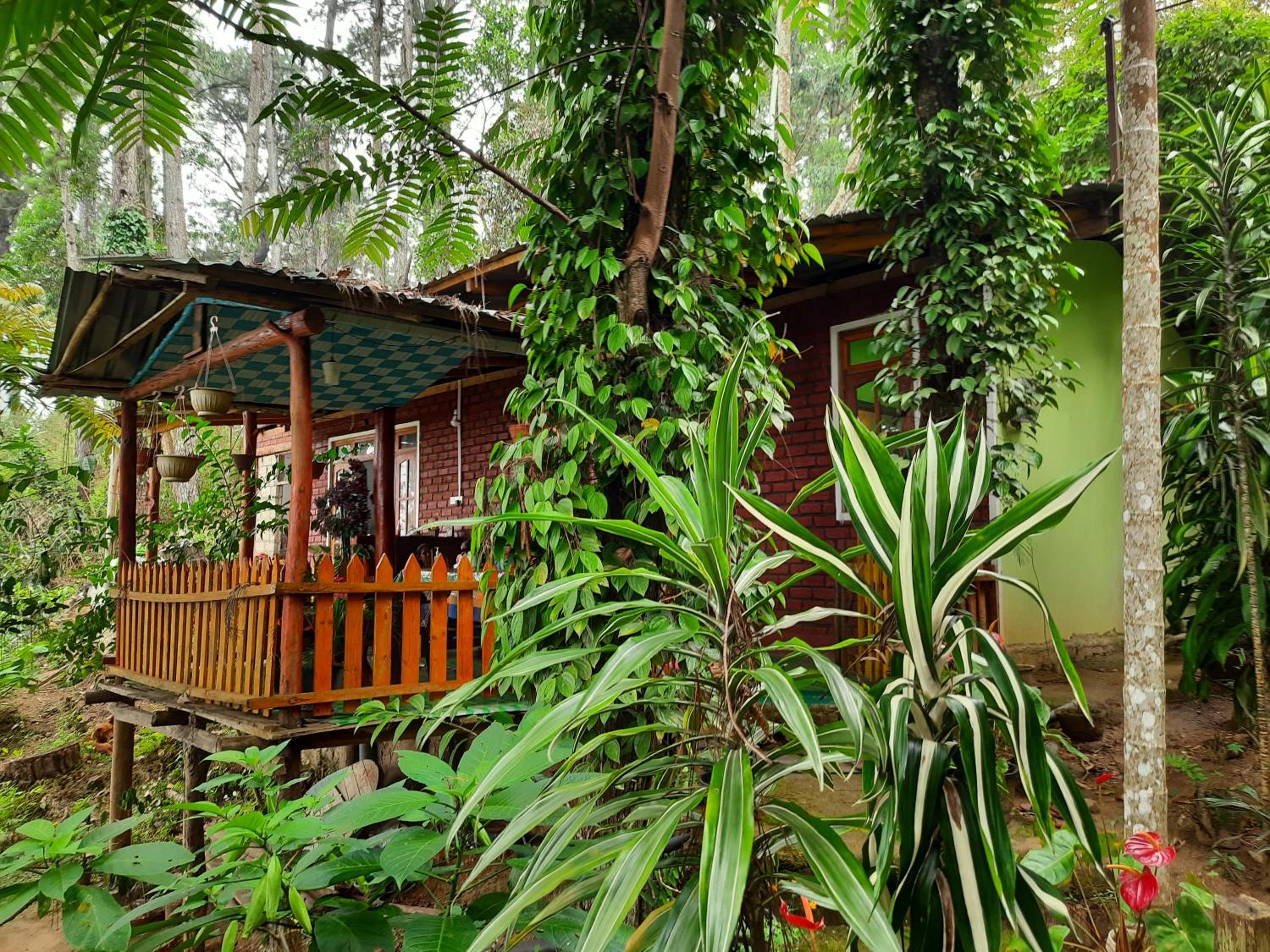 Green Heaven Lodge view 5