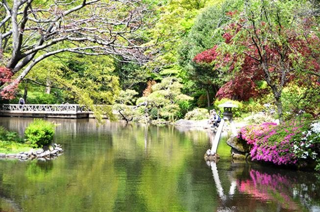 Tokyo Kakan photo 3
