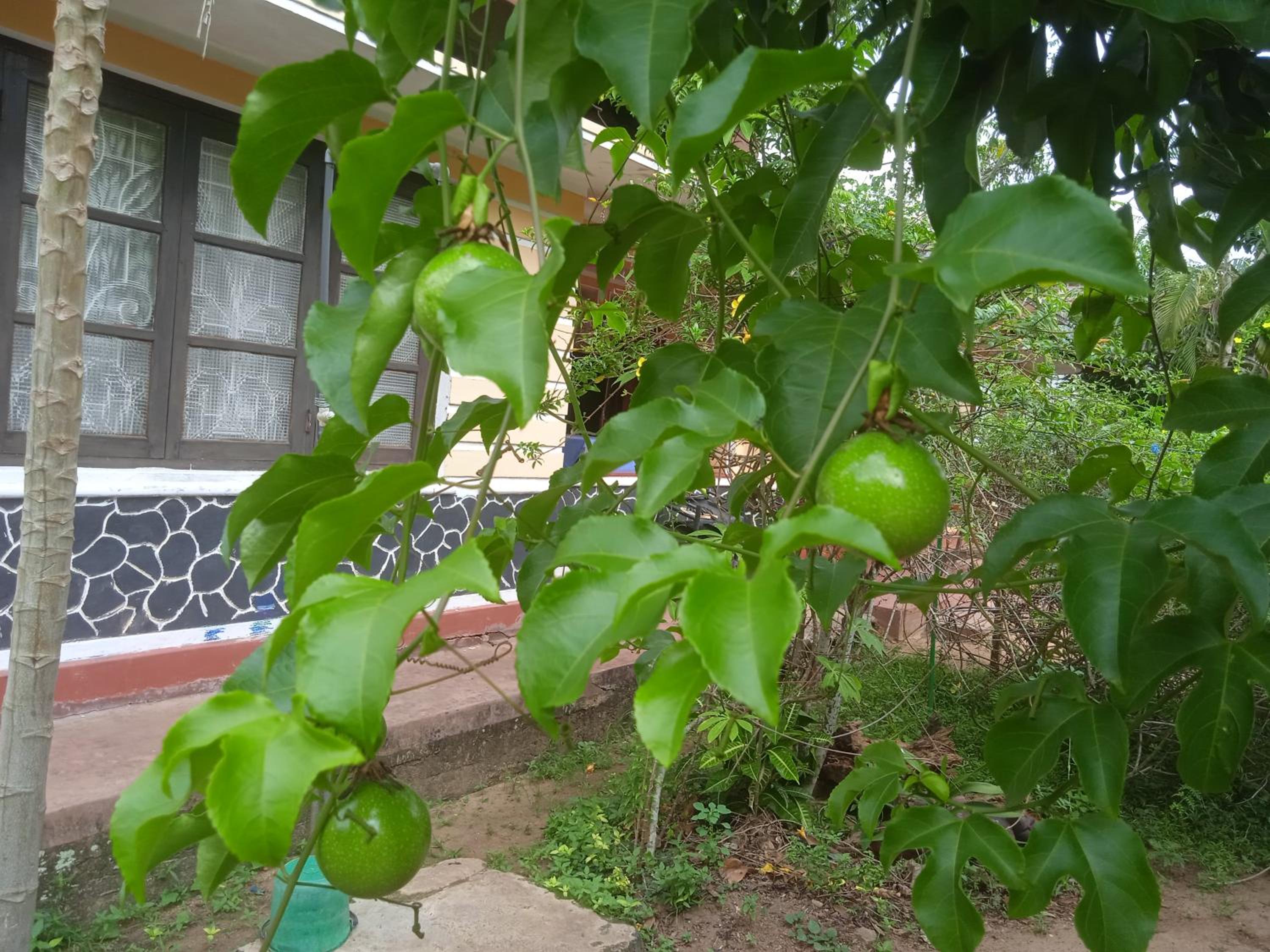 Photo 39