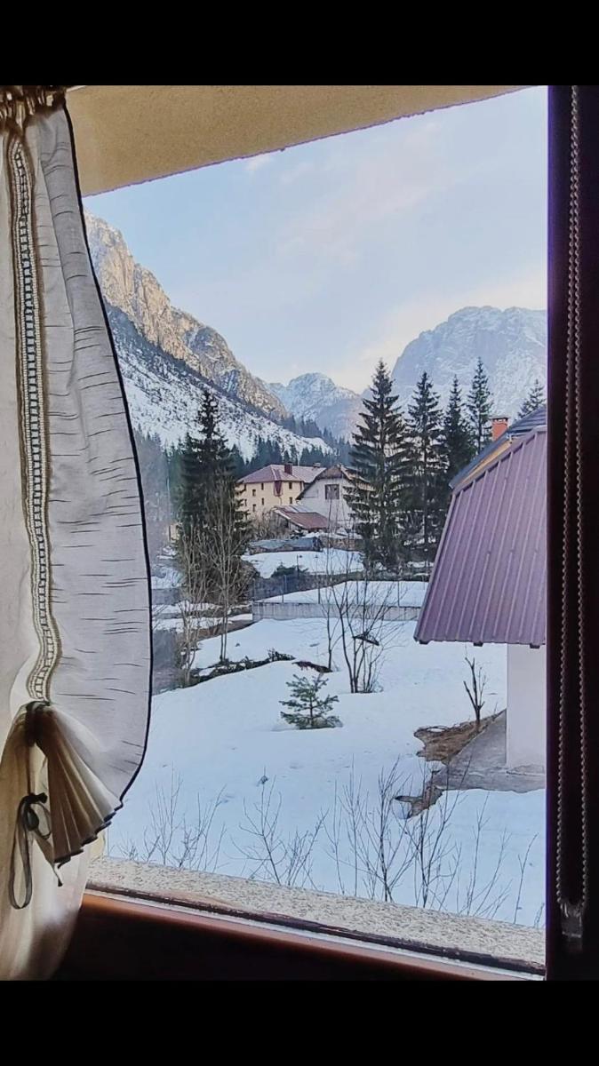HOME PREDIL photo 2