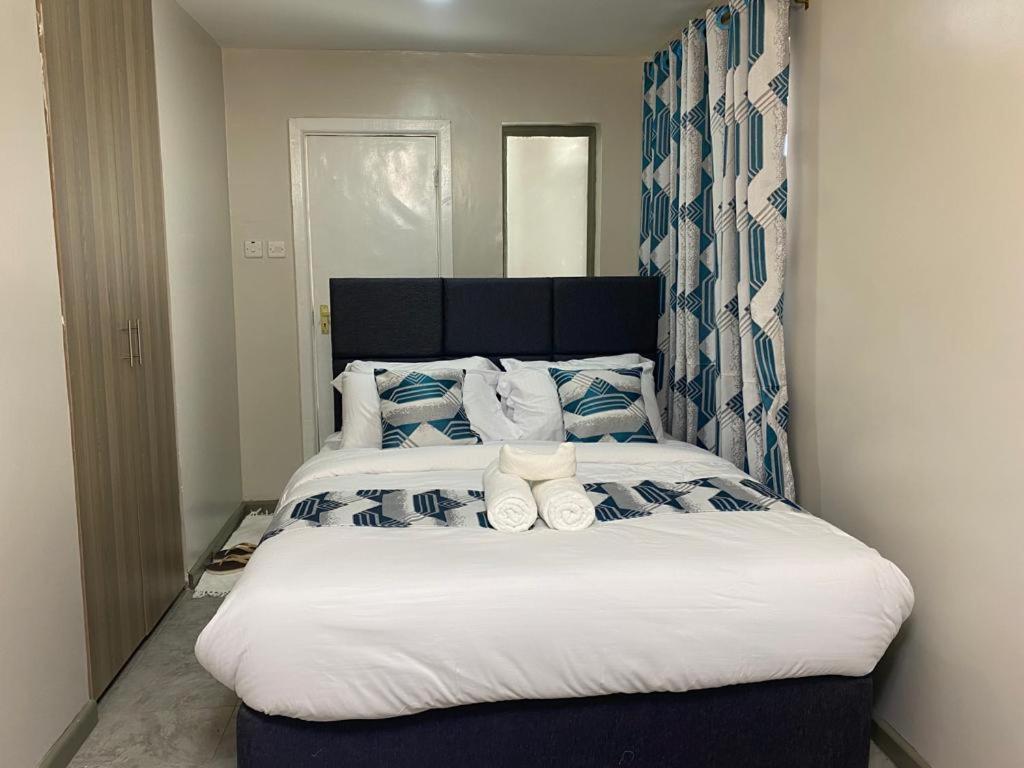 Cosy & Stylish studio apartment near JKIA, SGR with high speed WiFi, NETFLIX, free parking and secure. view 3