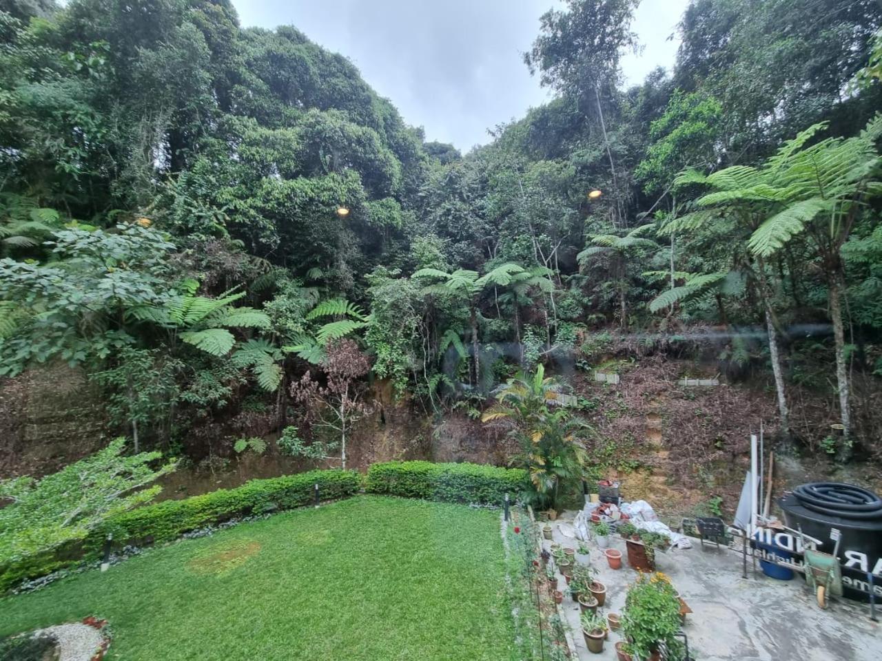 Highlanders Garden Guesthouse at Arundina Cameron Highlands