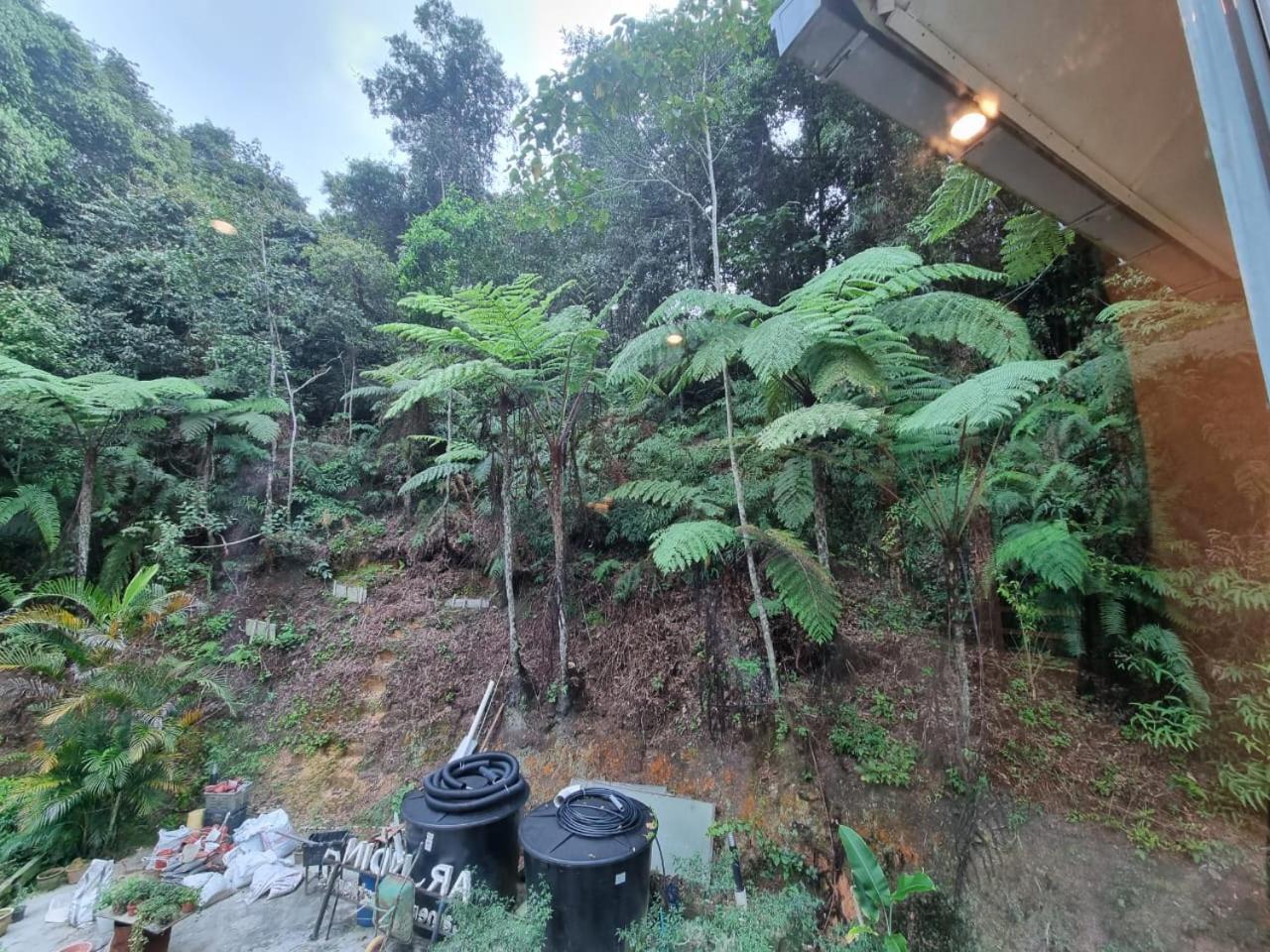 Highlanders Garden Guesthouse at Arundina Cameron Highlands