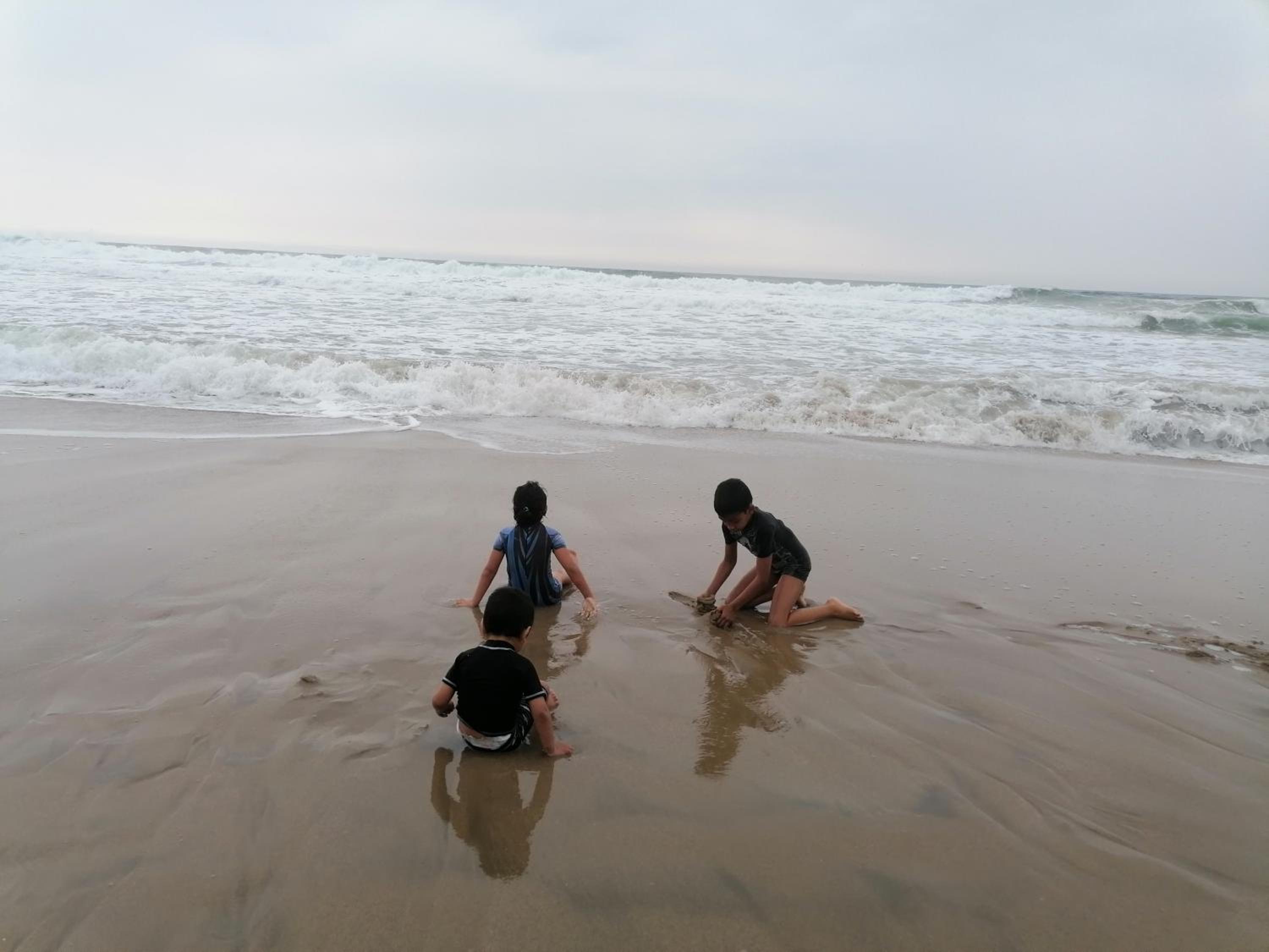 10 Seaverge, photo 13