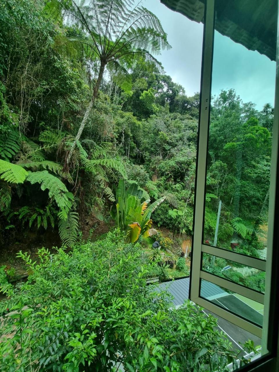 Highlanders Garden Guesthouse at Arundina Cameron Highlands