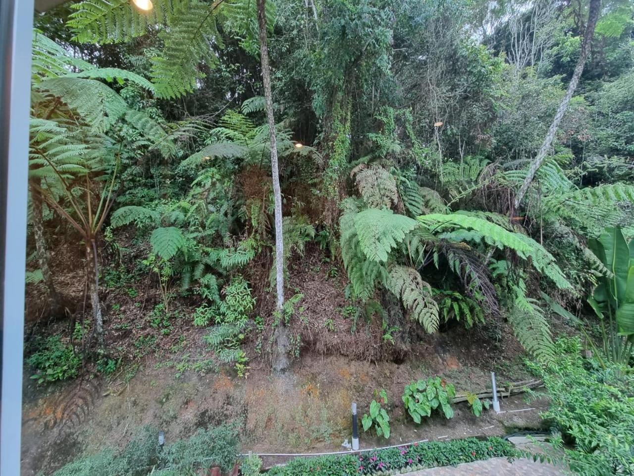Highlanders Garden Guesthouse at Arundina Cameron Highlands