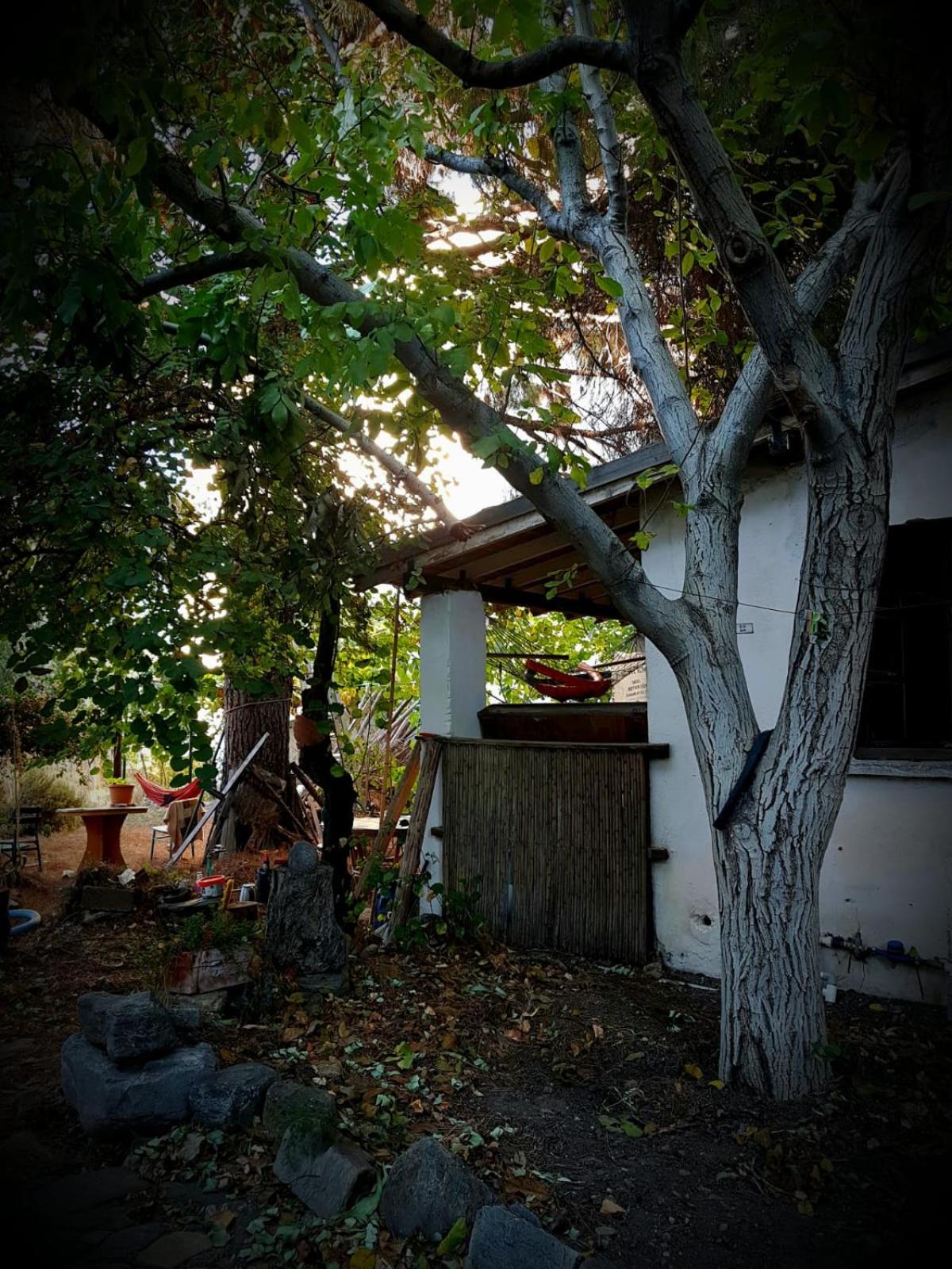 Ecer Pansiyon - Image 53