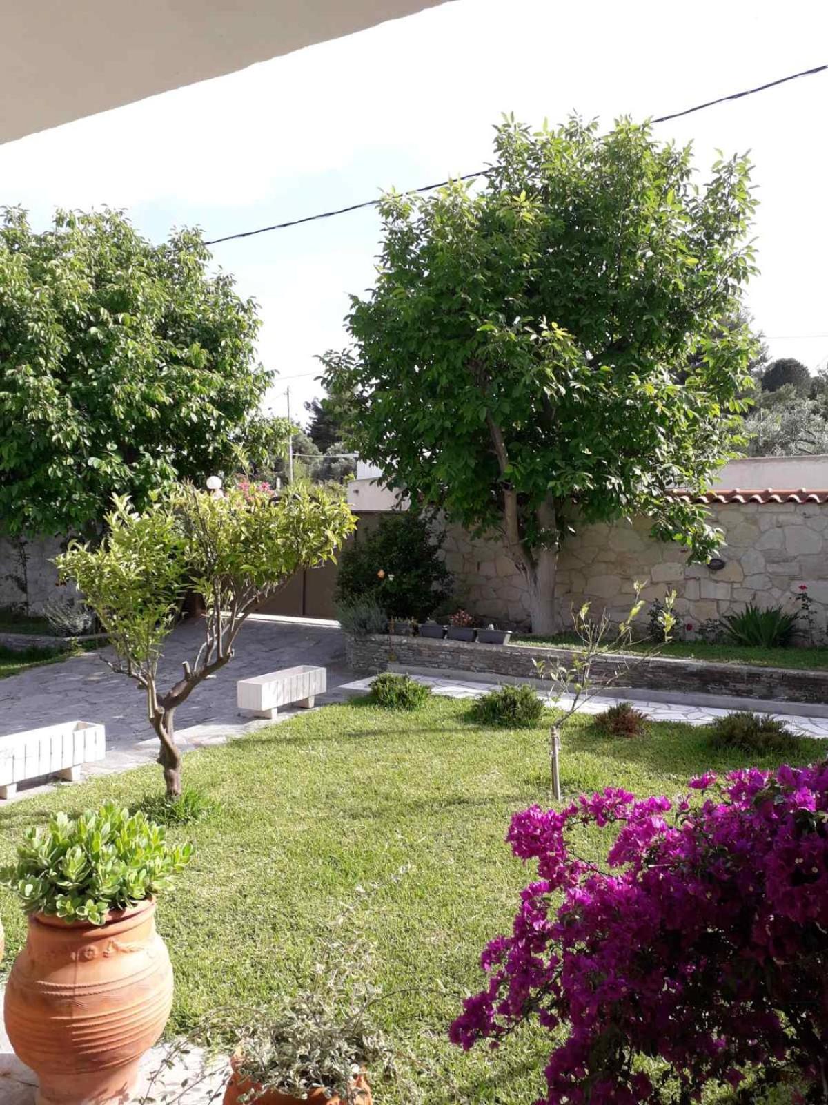 Villa panorama view 5