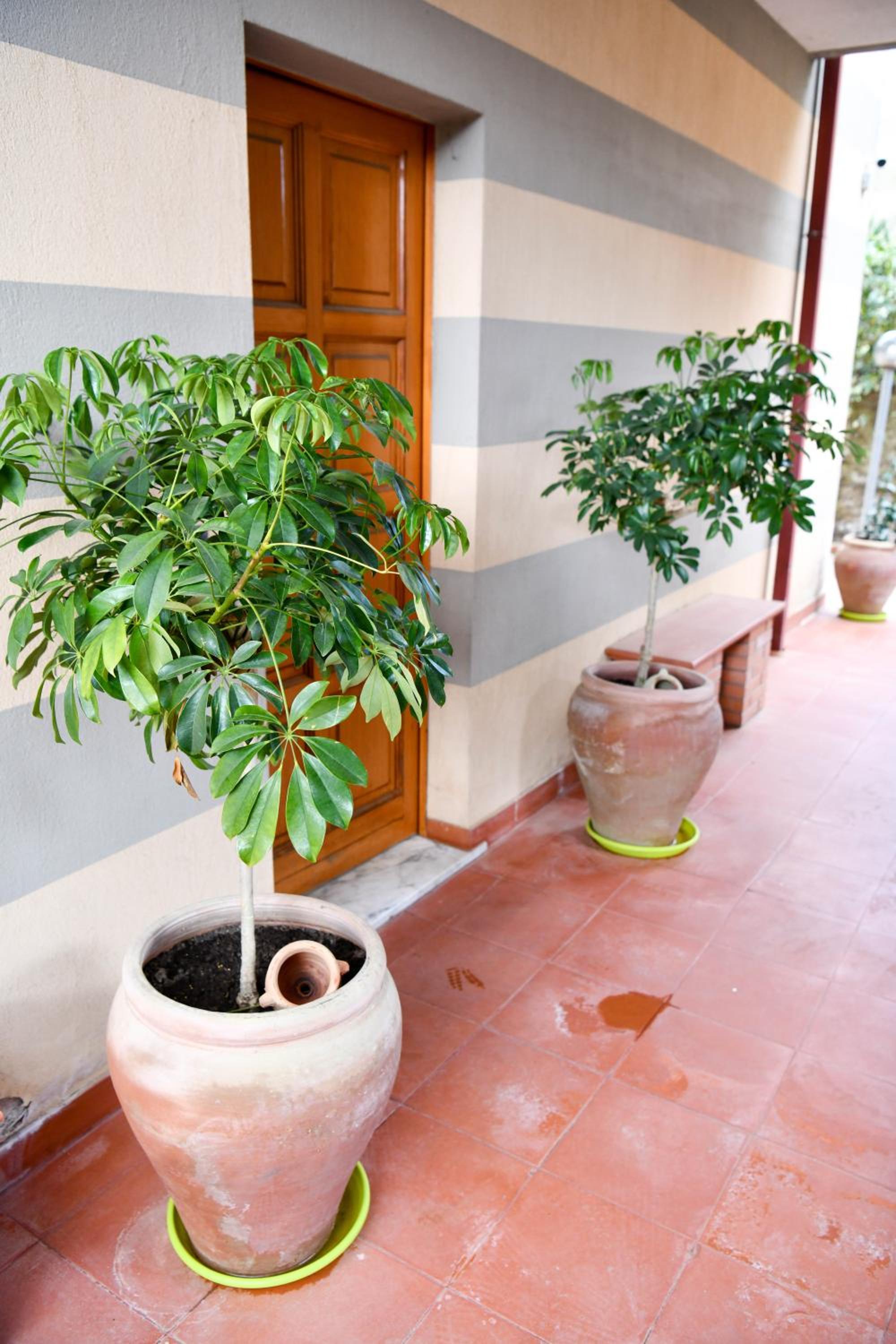 Il Piccolo Hotel, photo 118