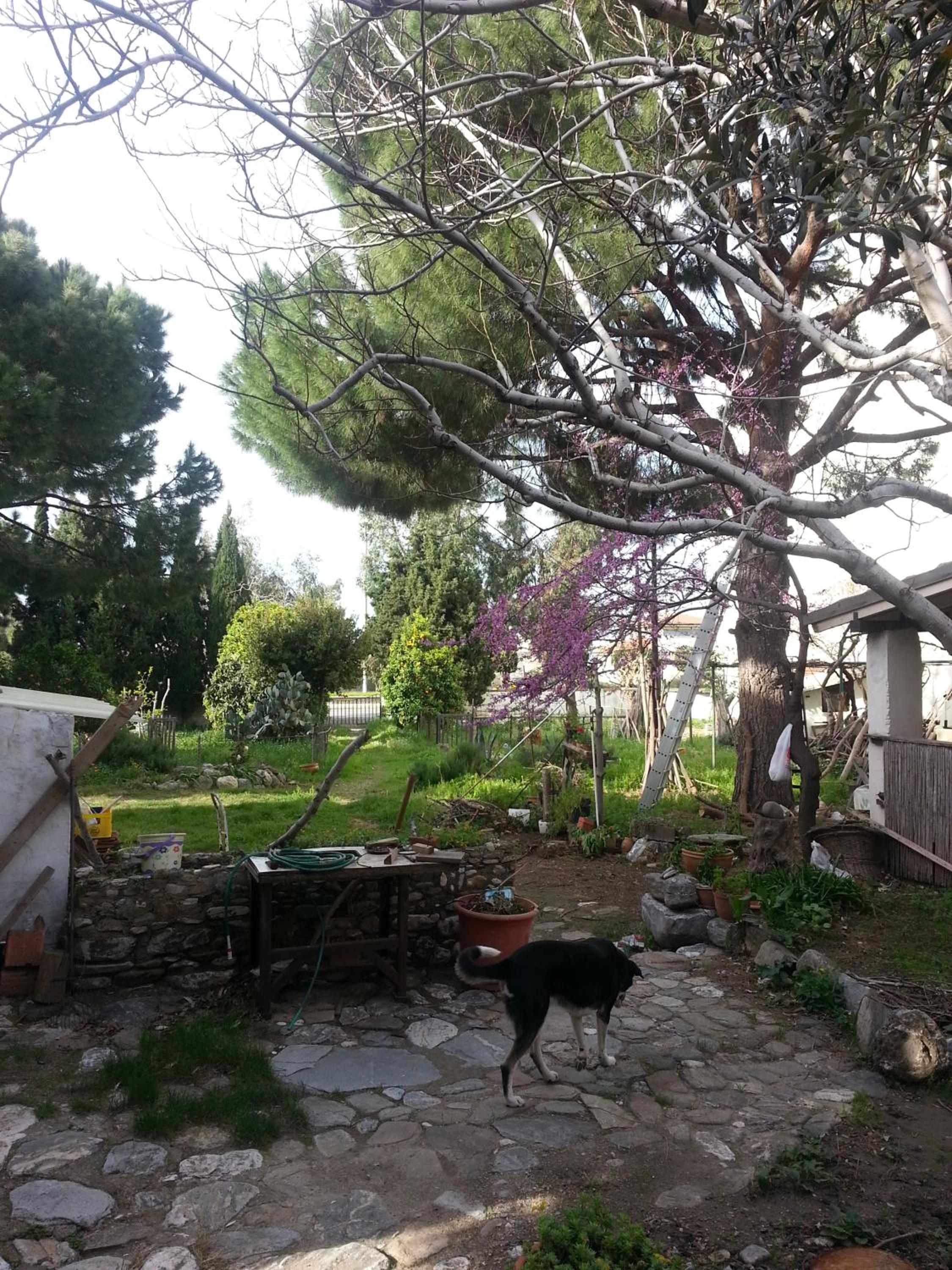 Ecer Pansiyon - Image 55