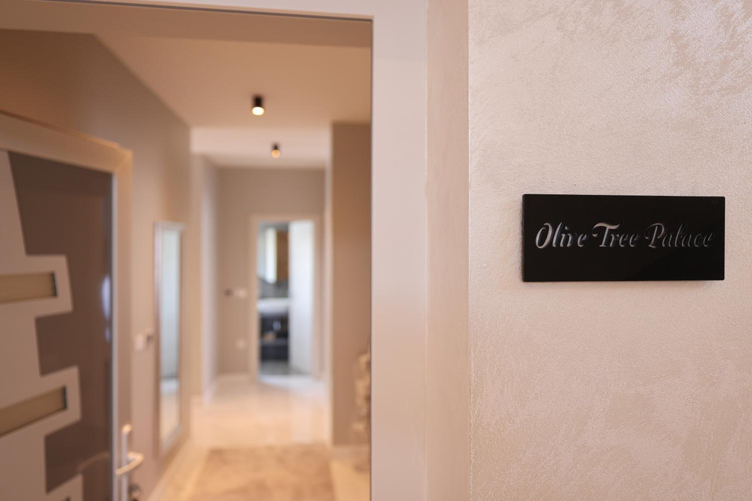 D-Palace Apartments-Olive tree view 5
