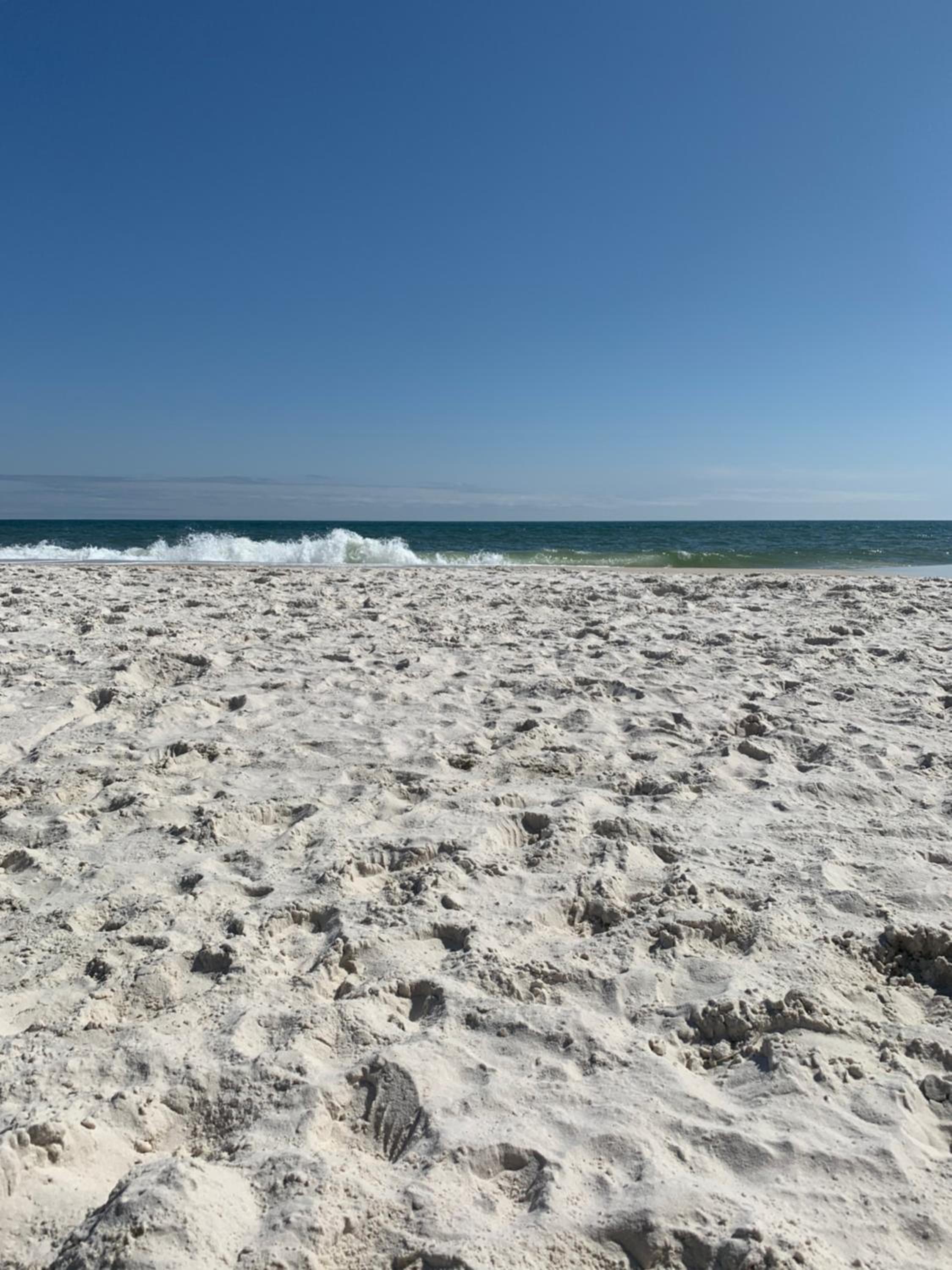2-Bedroom Condo on Gulf Shores Beach w/Pool view 4