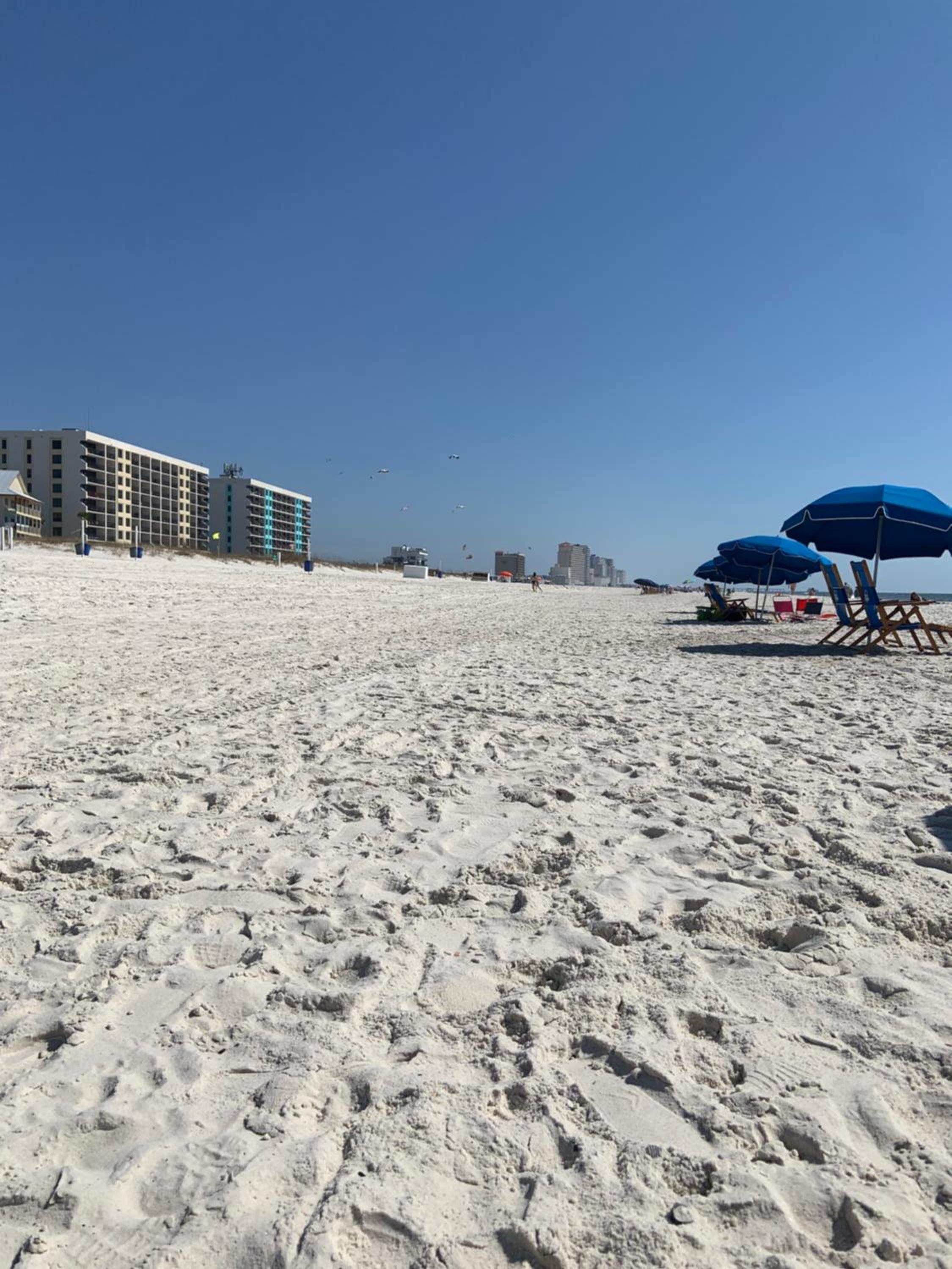 2-Bedroom Condo on Gulf Shores Beach w/Pool view 5